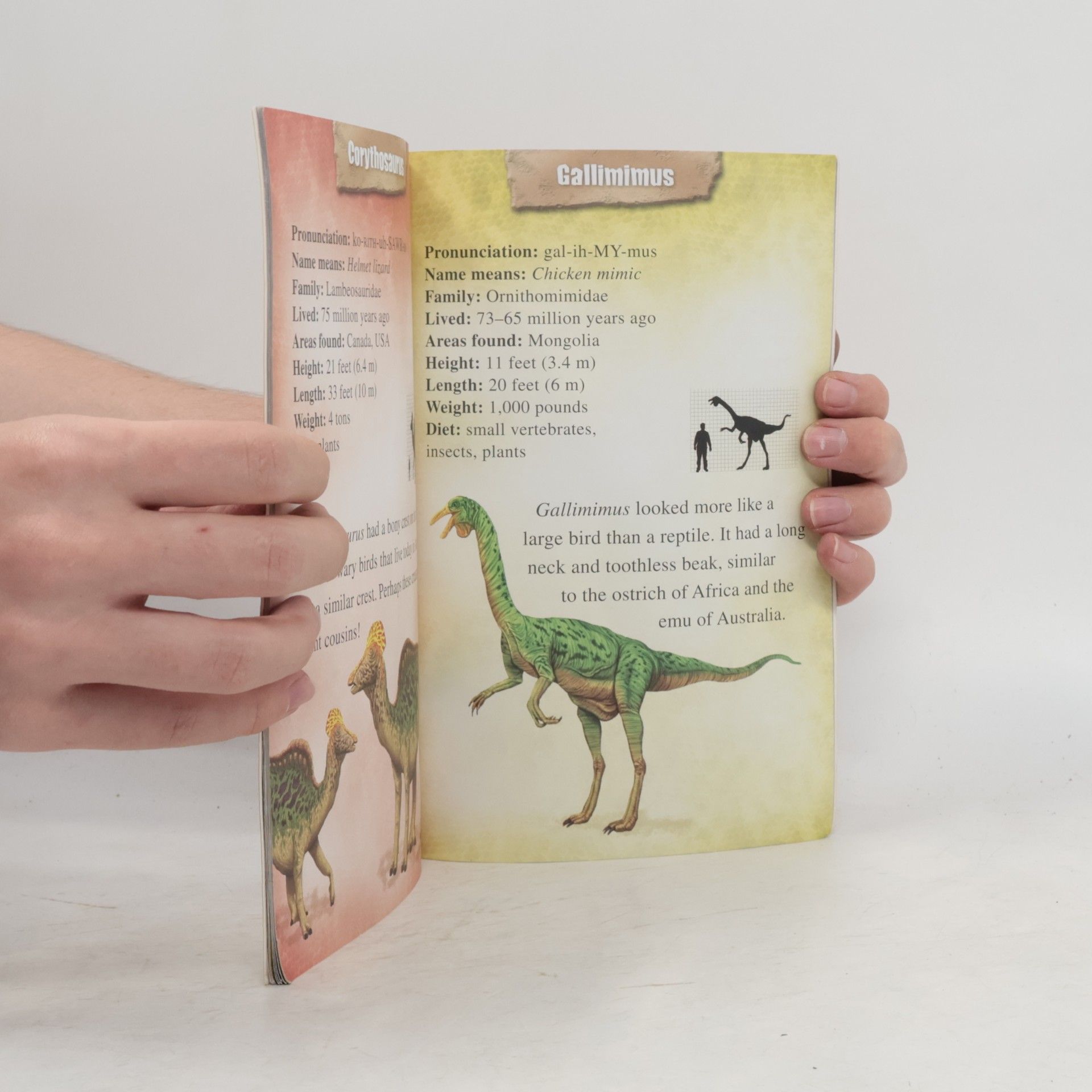 Kathryn Knight Reading Discovery - 2: Dinosaurs