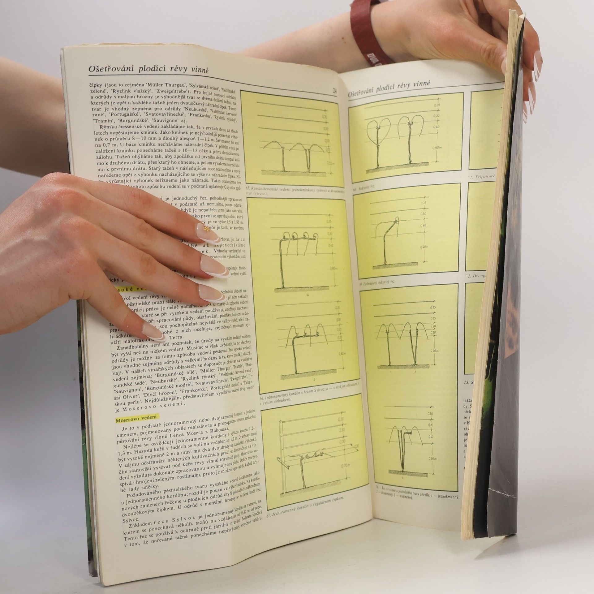 Various authors Pěstujeme révu vinnou
