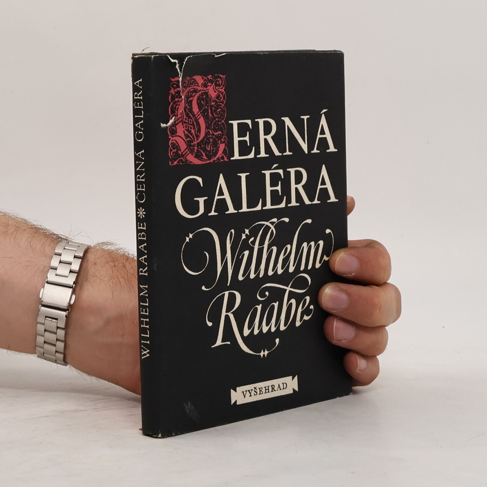 Wilhelm Raabe Černá galéra