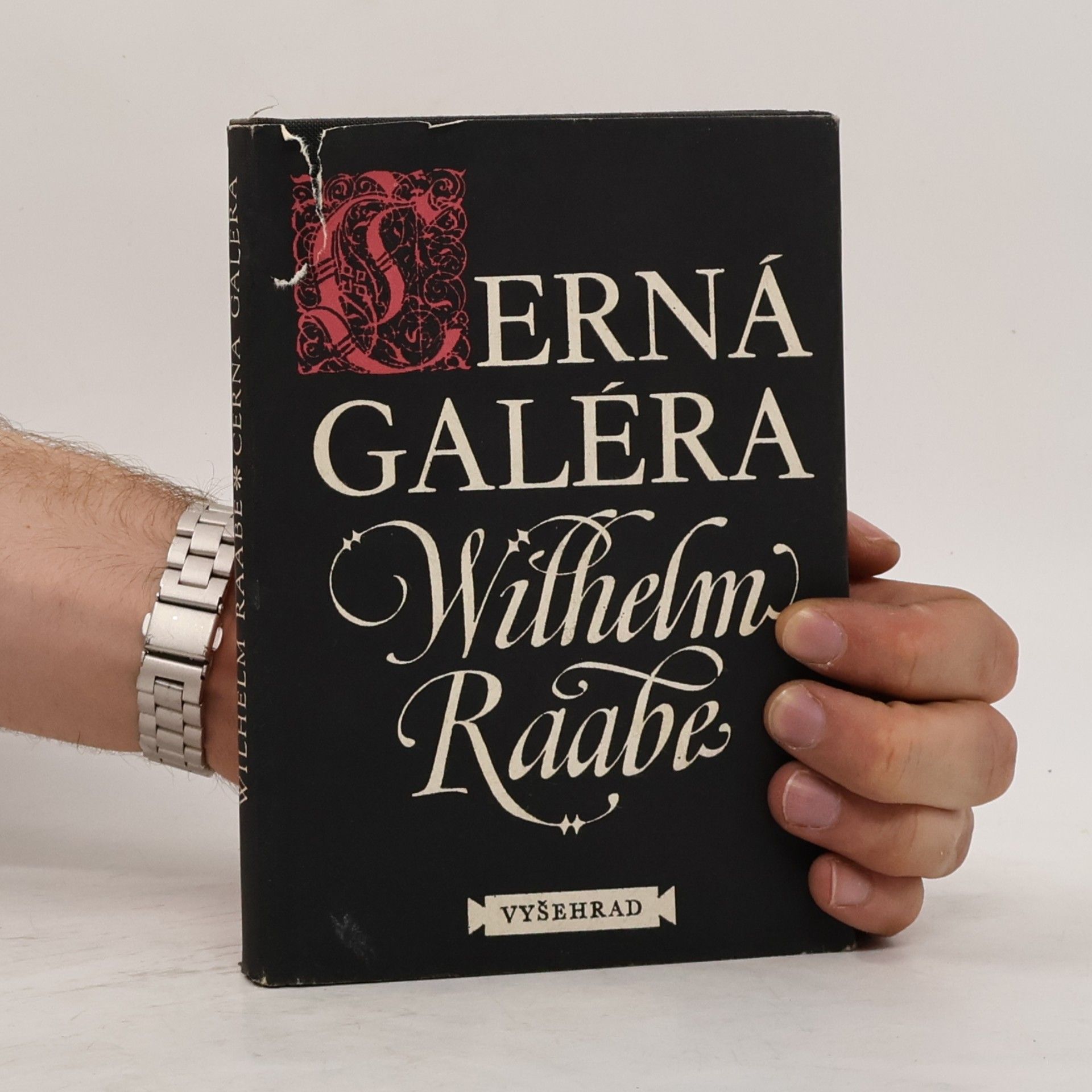 Wilhelm Raabe Černá galéra