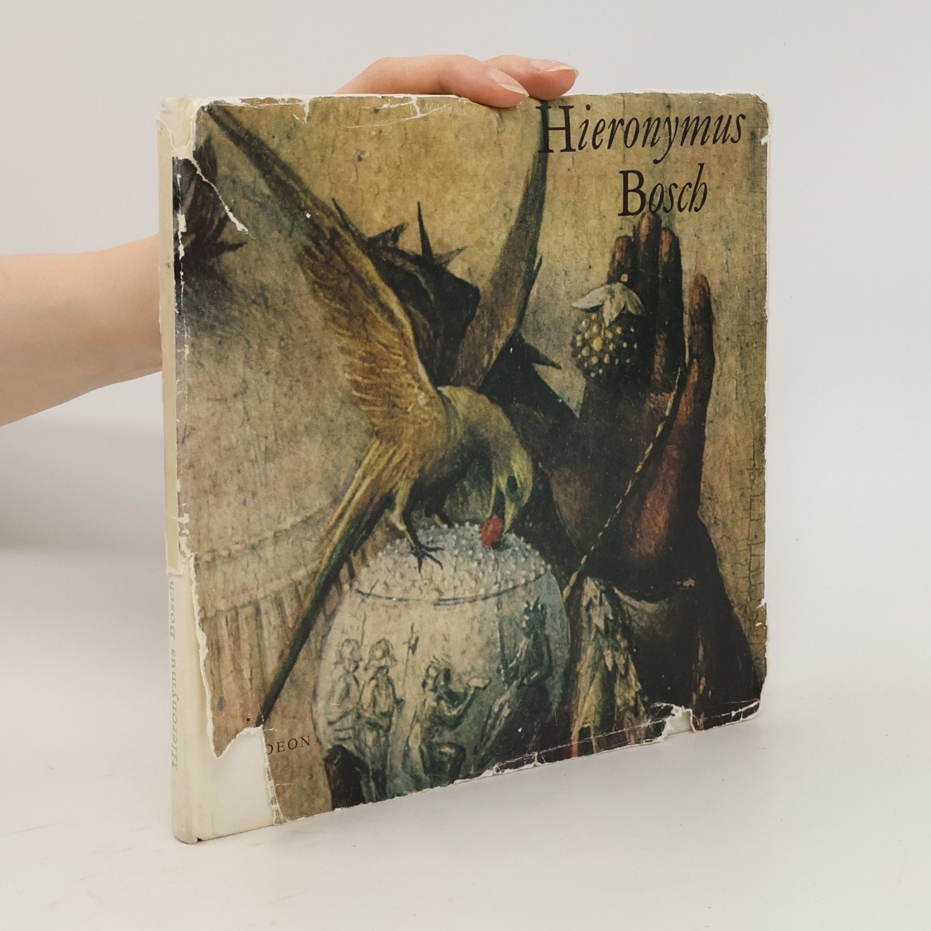Hana Volavková Hieronymus Bosch