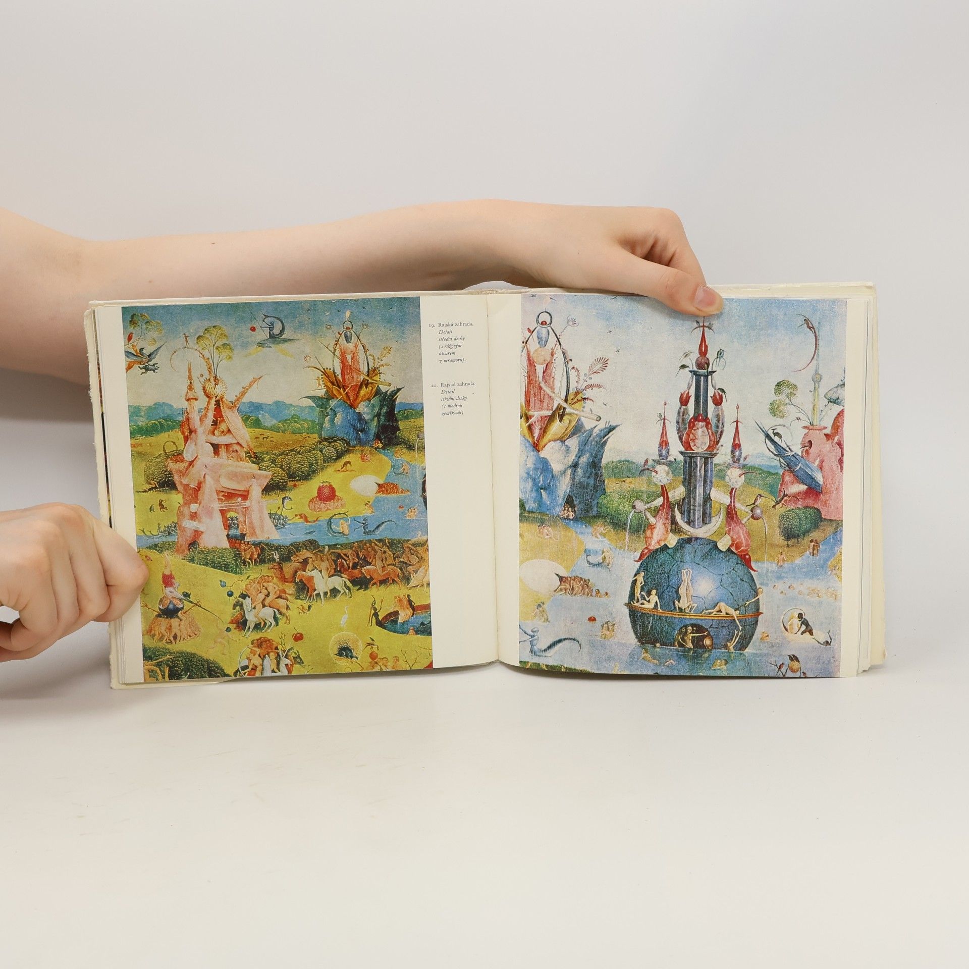 Hana Volavková Hieronymus Bosch