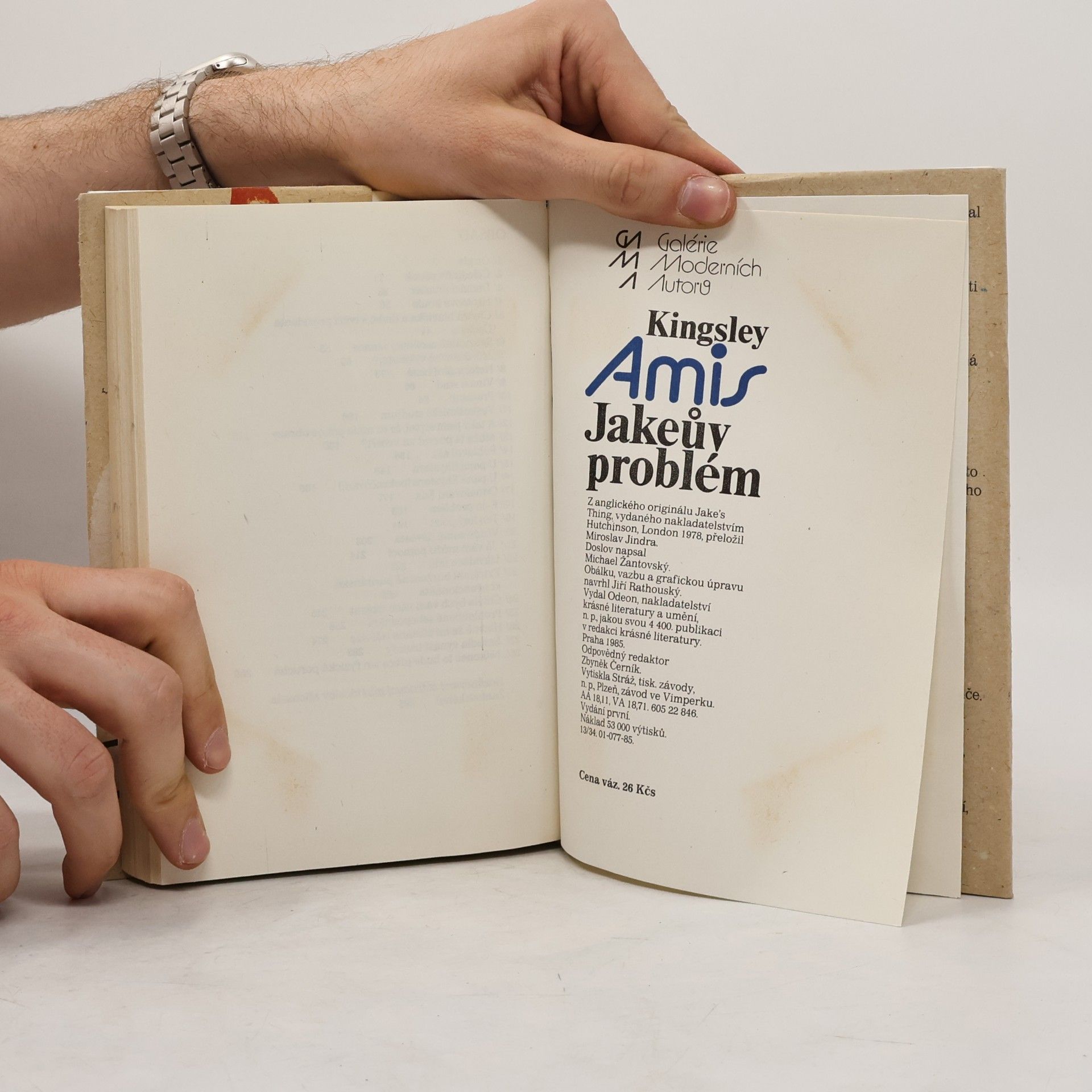 Kingsley Amis Jakeův problém