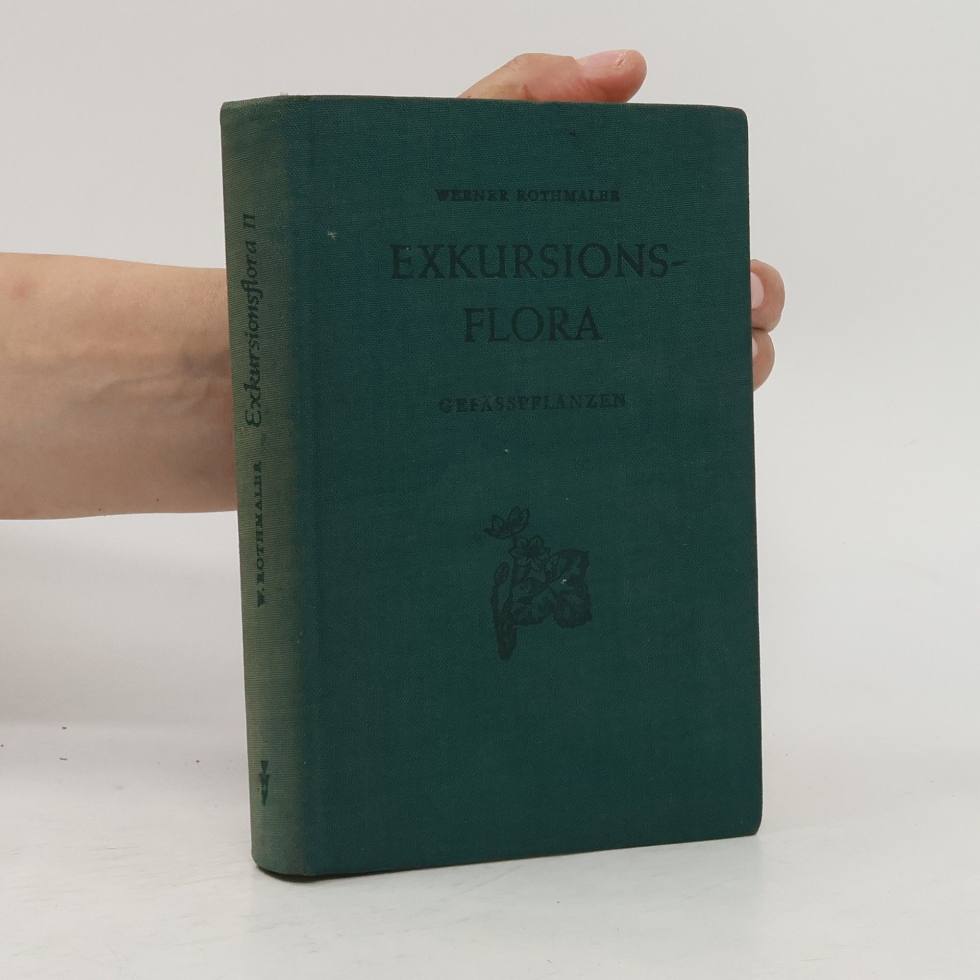 Exkursionsflora von Deutschland. Gefässpflanzen