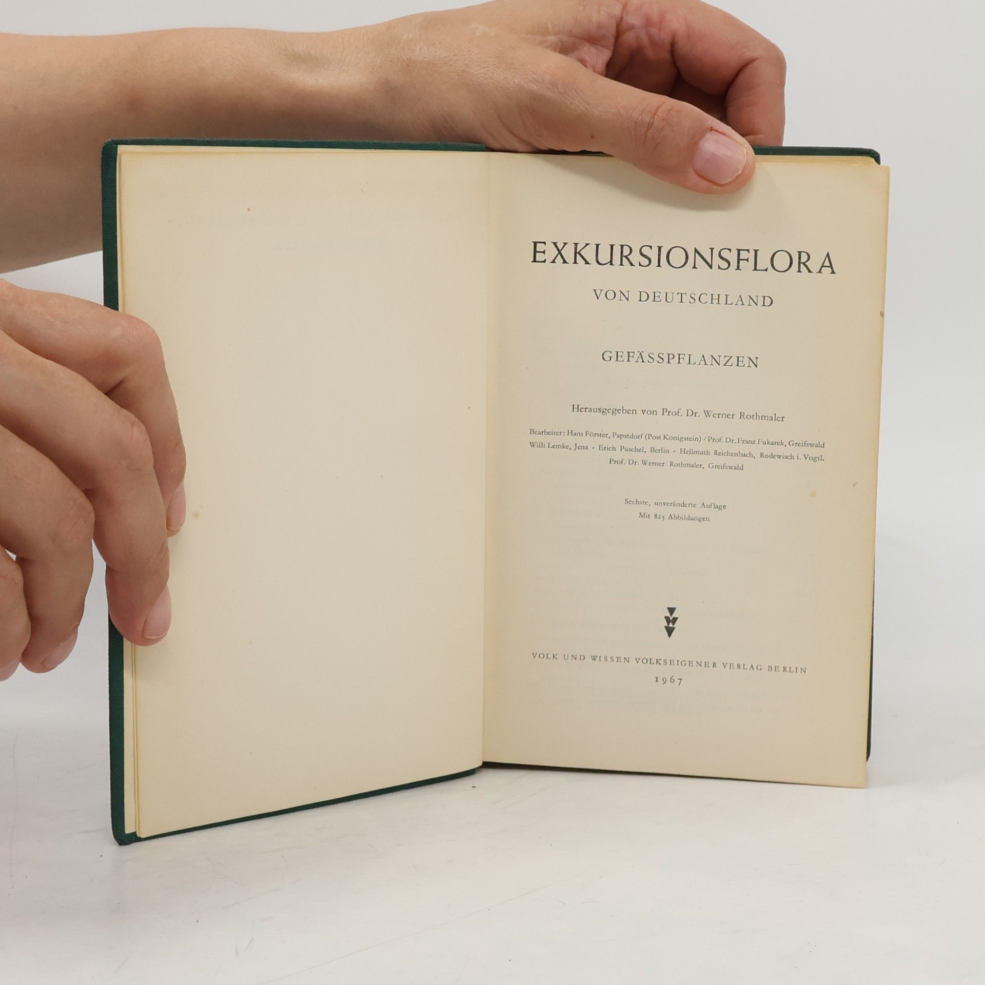 Werner Rothmaler Exkursionsflora von Deutschland. Gefässpflanzen