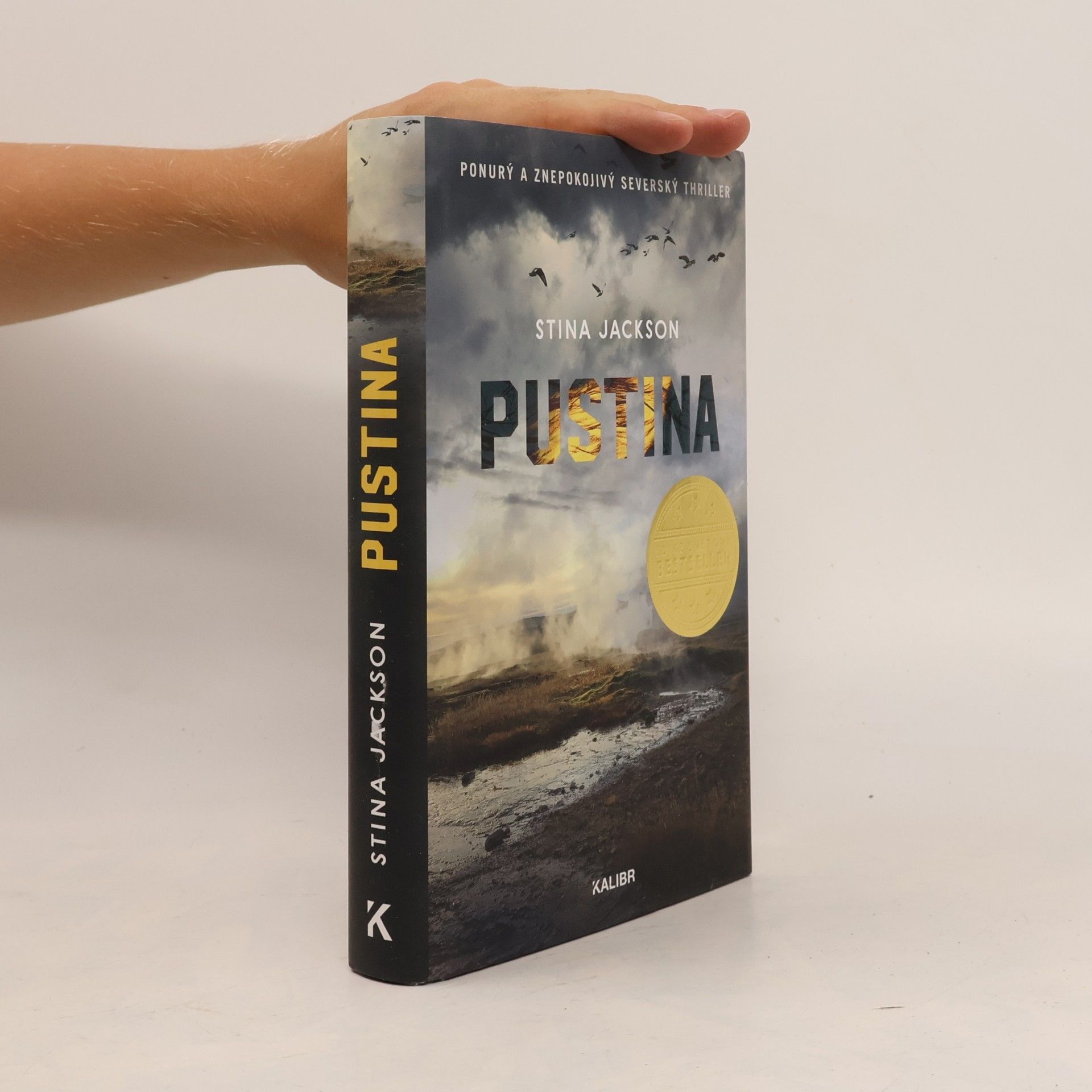 Stina Jackson Pustina