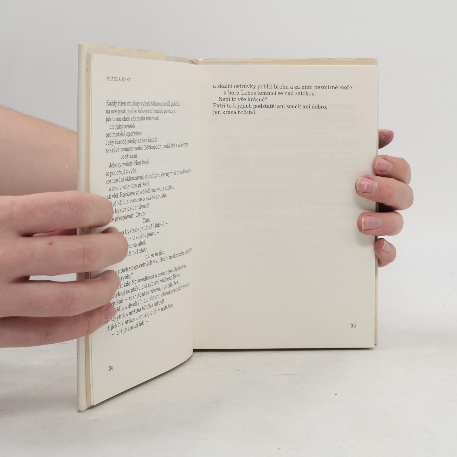 Robinson Jeffers Maják v bouři
