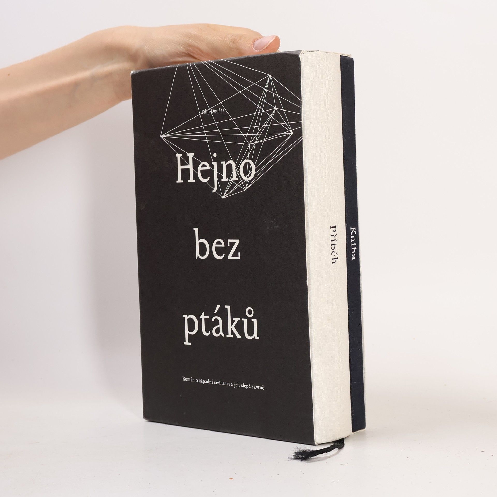 Hejno bez ptáků