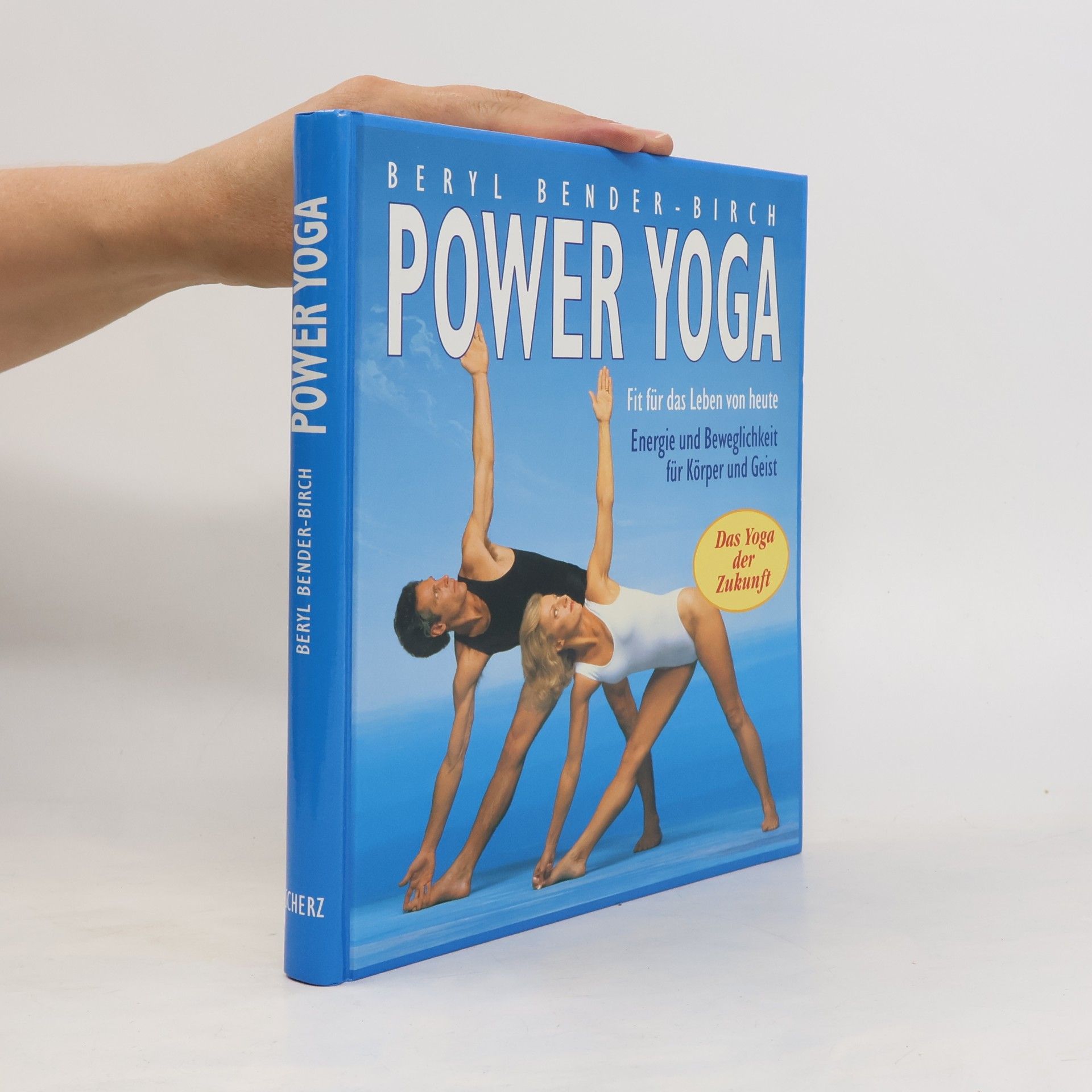 Beryl Bender Birch Power-Yoga