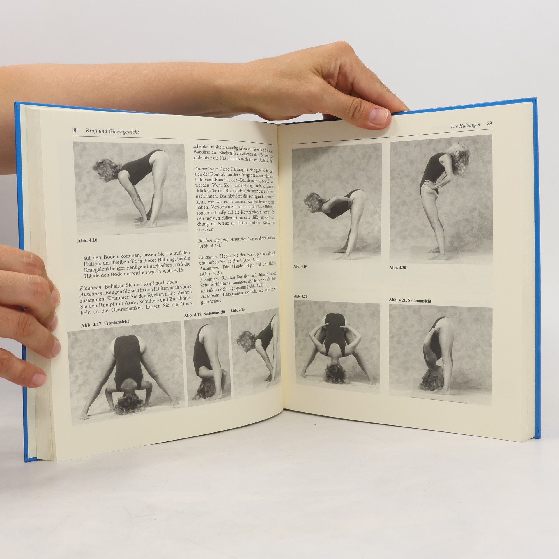 Beryl Bender Birch Power-Yoga