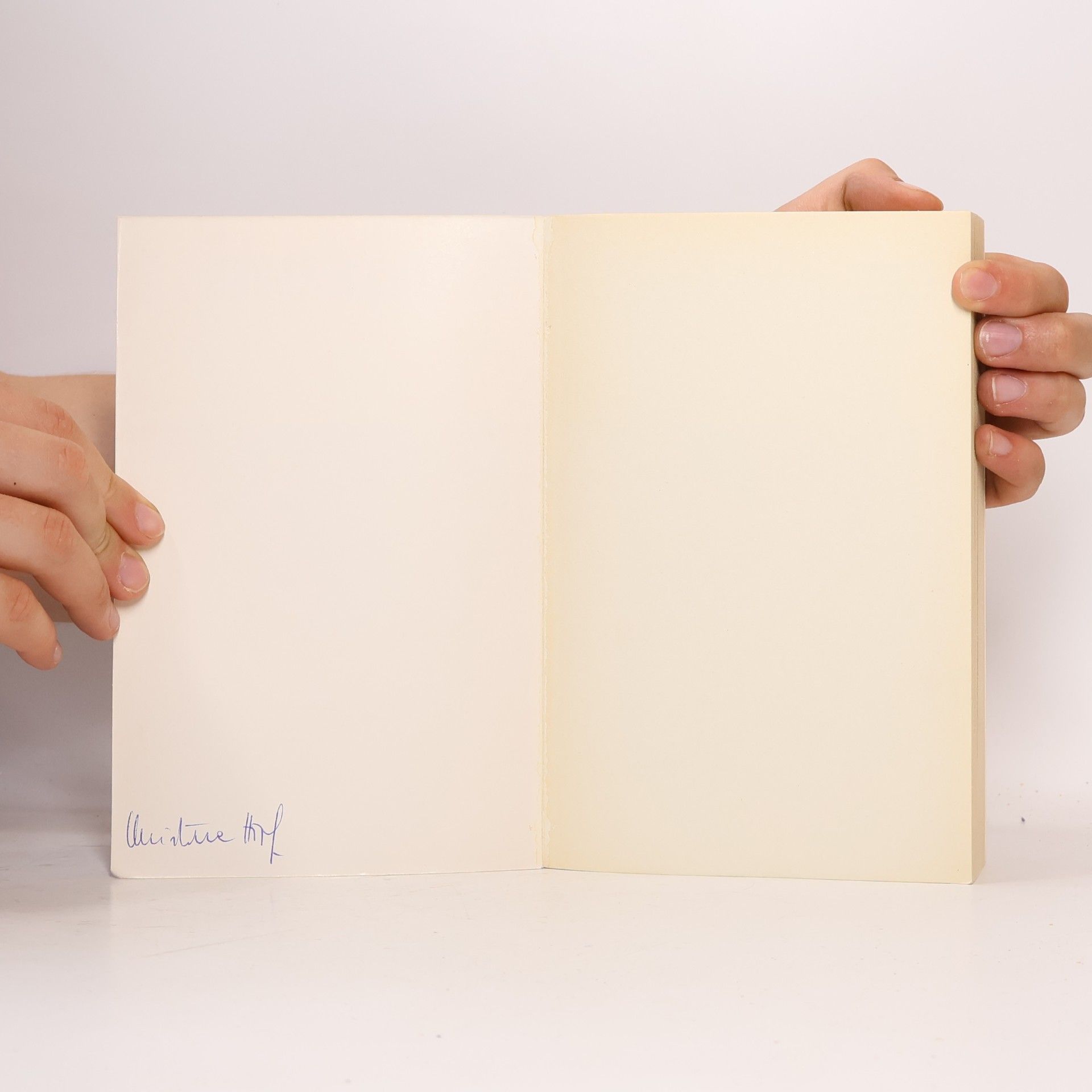 Alberto Giordano Manzoni la vita il pensiero i testi esemplari