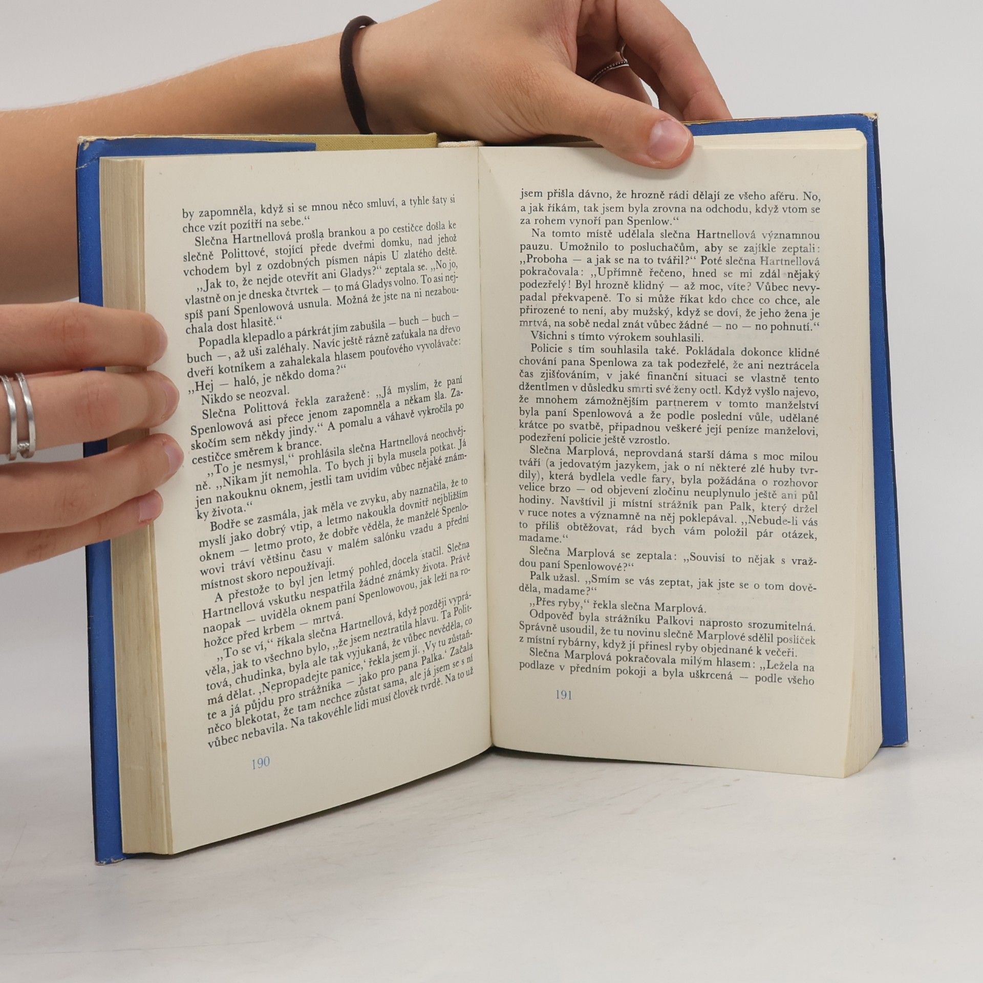 Agatha Christie Muž v mlze
