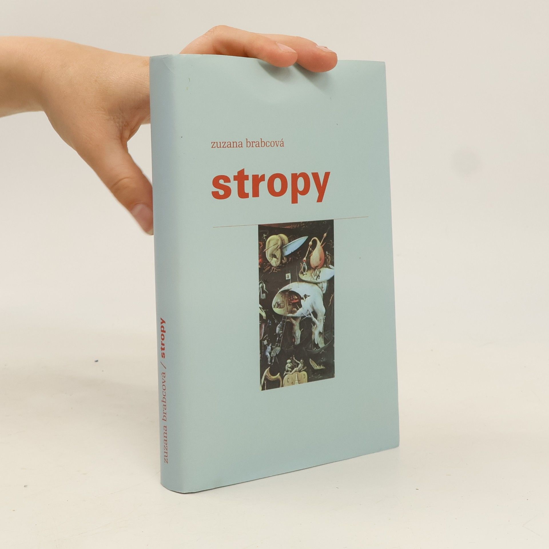 Zuzana Brabcová Stropy