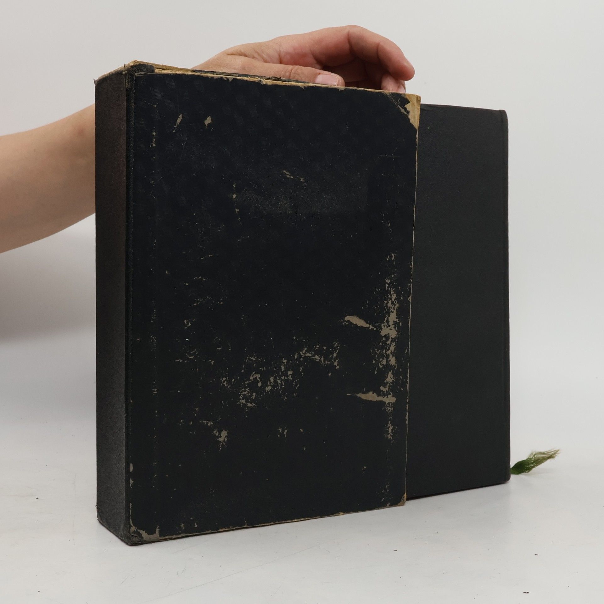 Die Bibel oder die ganze Heilige Schrift des Alten und Neuen Testaments