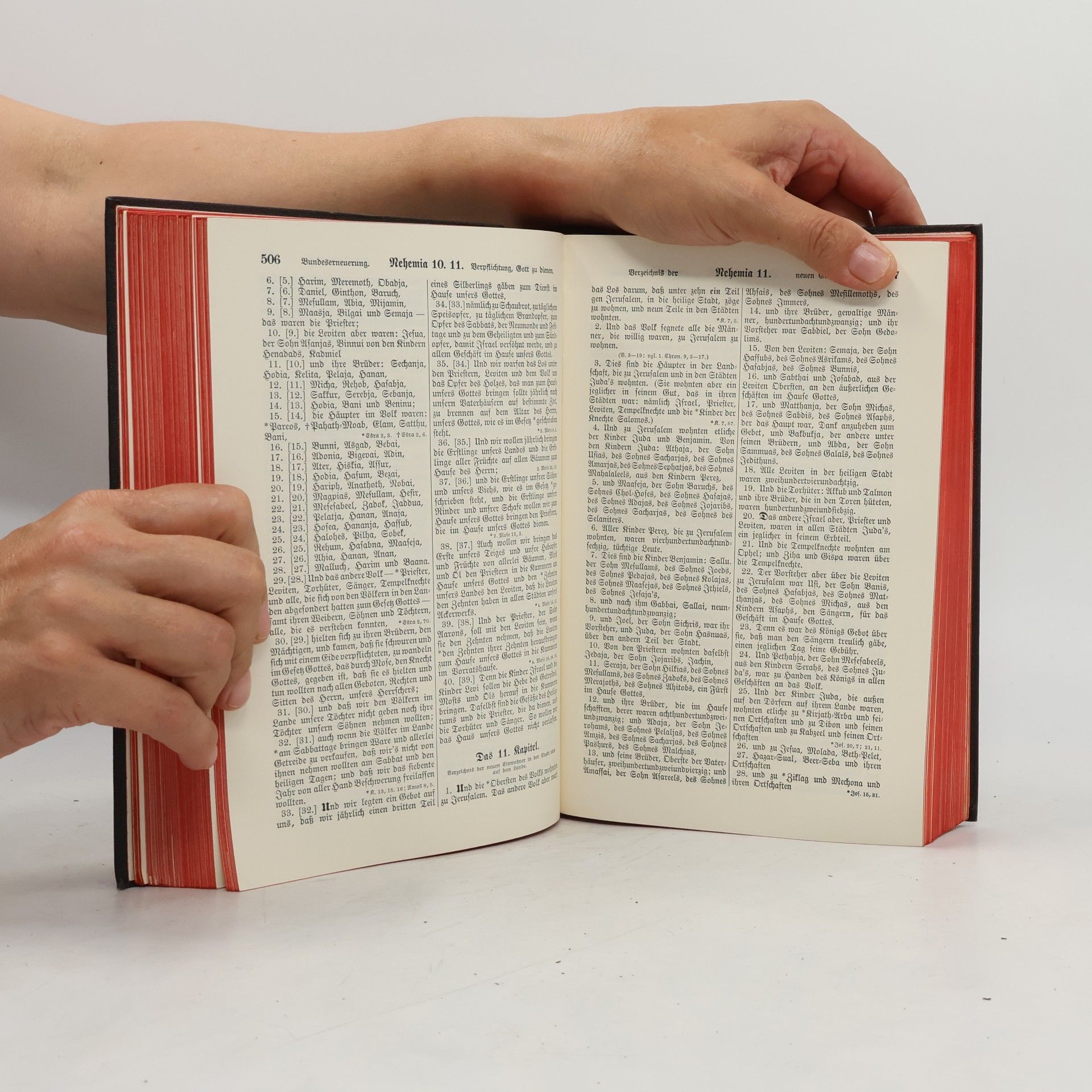 Martin Luther Die Bibel oder die ganze Heilige Schrift des Alten und Neuen Testaments
