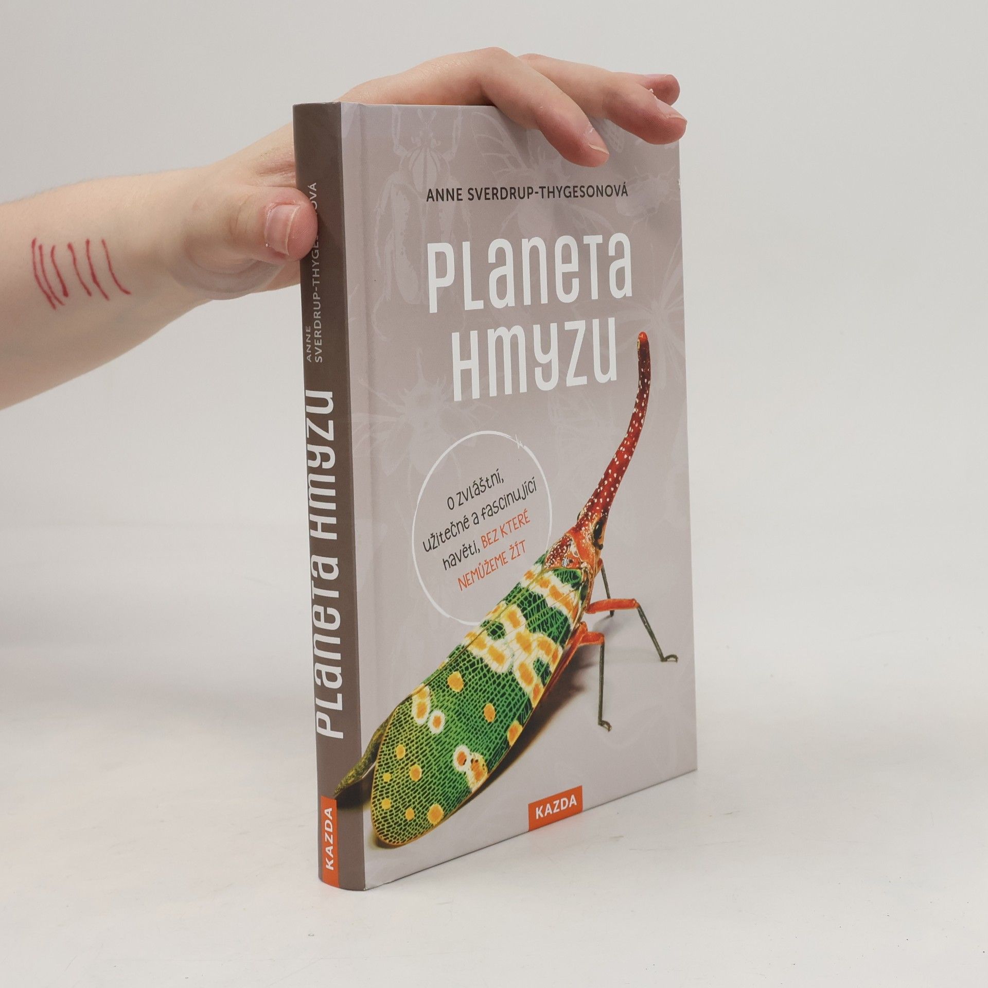 Auteurscollectief Planeta hmyzu : o zvláštní, užitečné a fascinující havěti, bez které nemůžeme žít