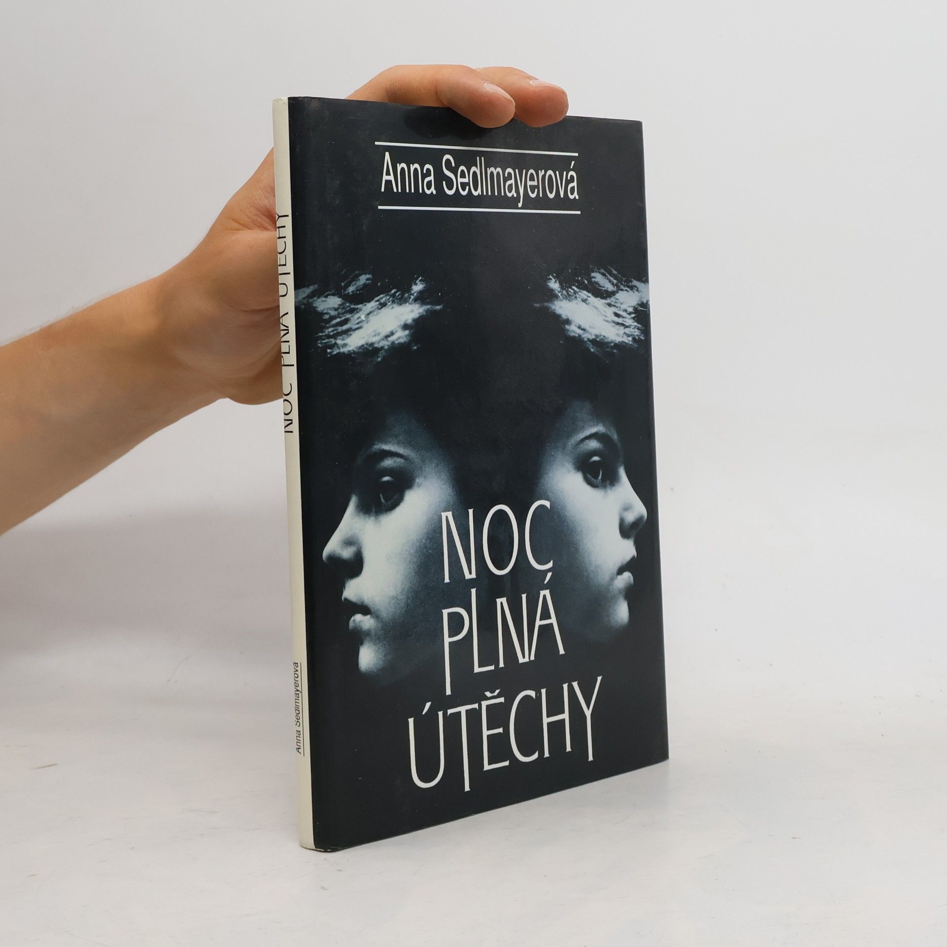 Anna Sedlmayerová Noc plná útěchy
