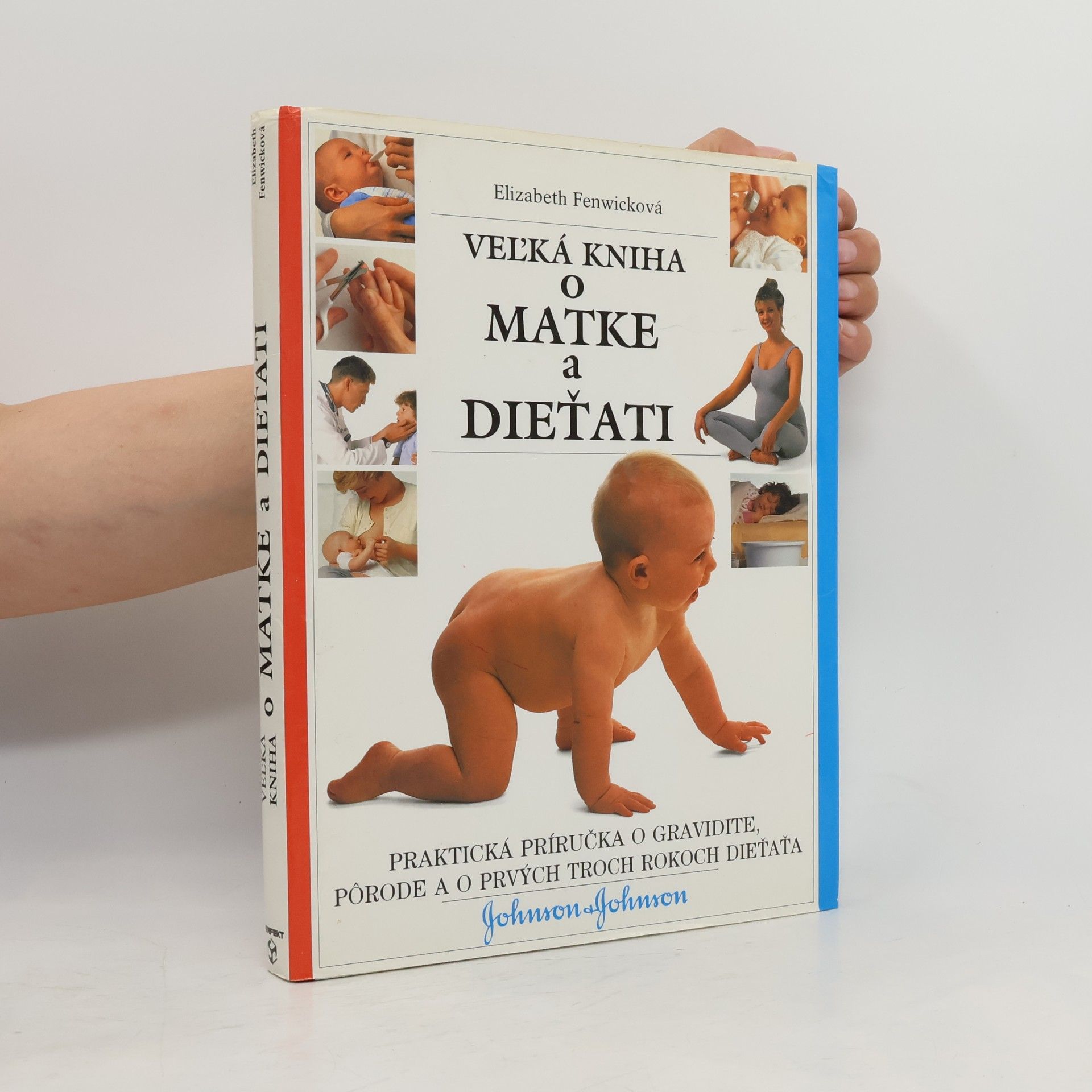 Elizabeth Fenwick Veľká kniha o matke a dieťati