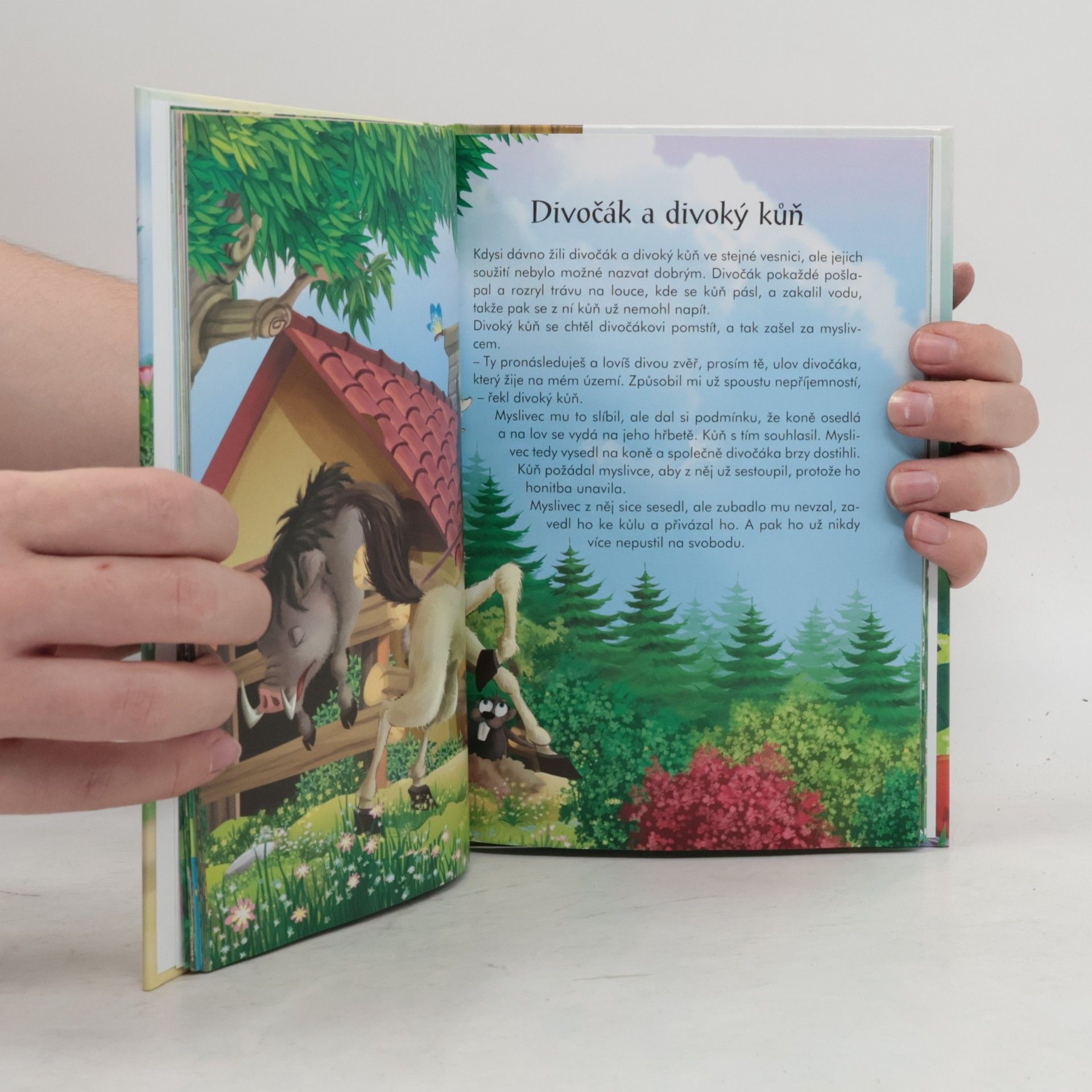 Éva Pádár Pohádky o zvířatech. Sova a sysel a další pohádky