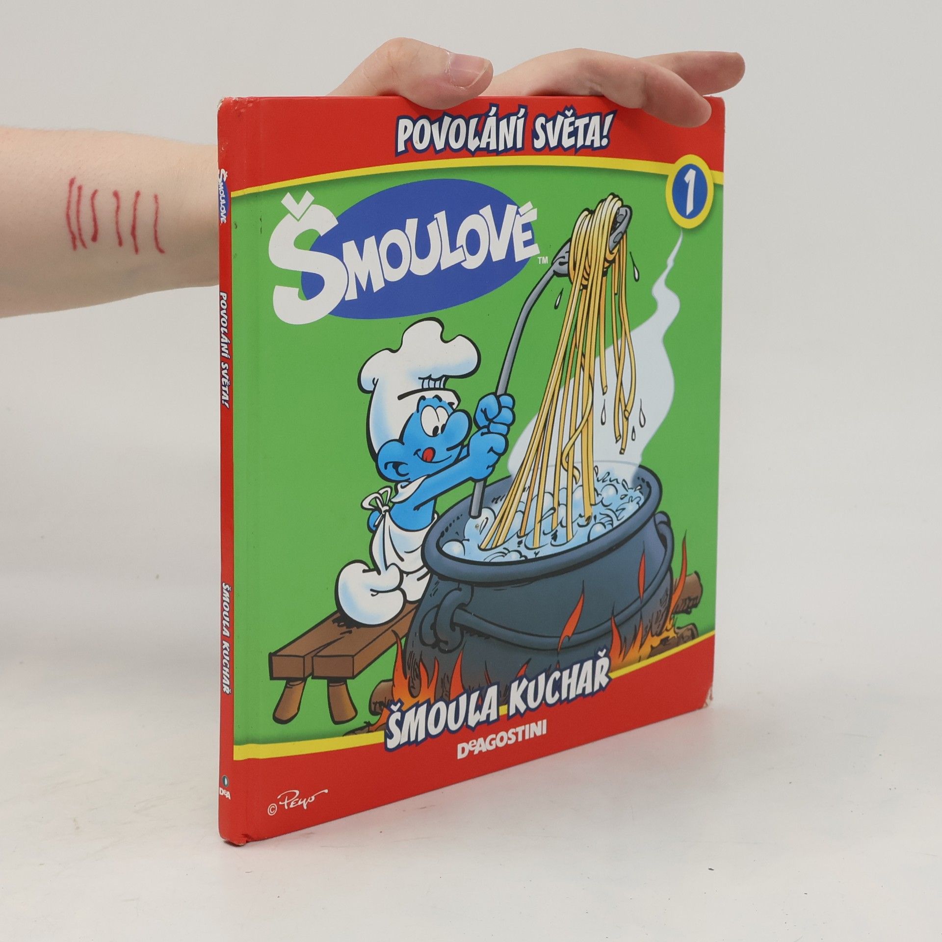 Kolektiv autorů Šmoula kuchař. Povolání světa 1