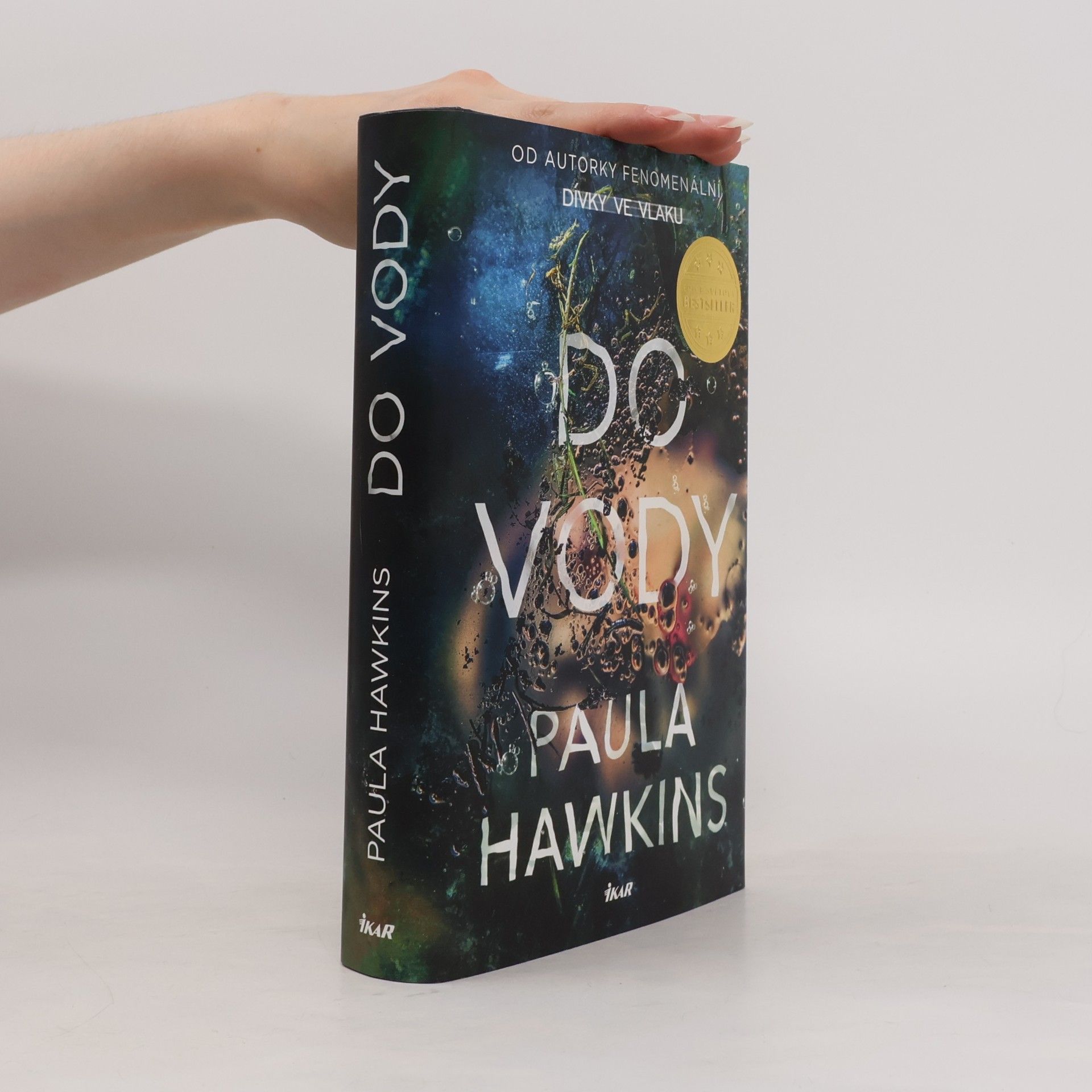Paula Hawkins Do vody