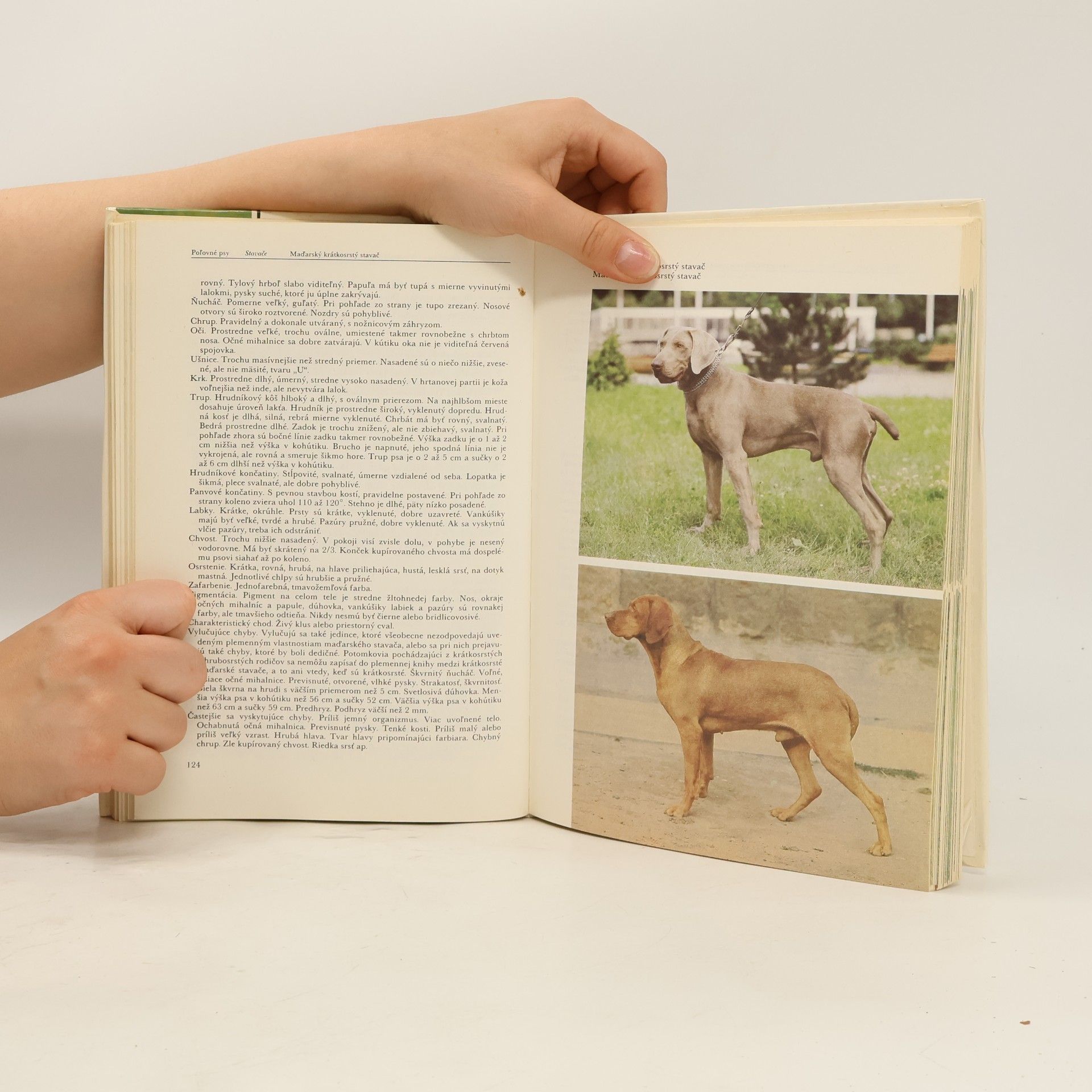 Diana Najmanová Atlas plemien psov