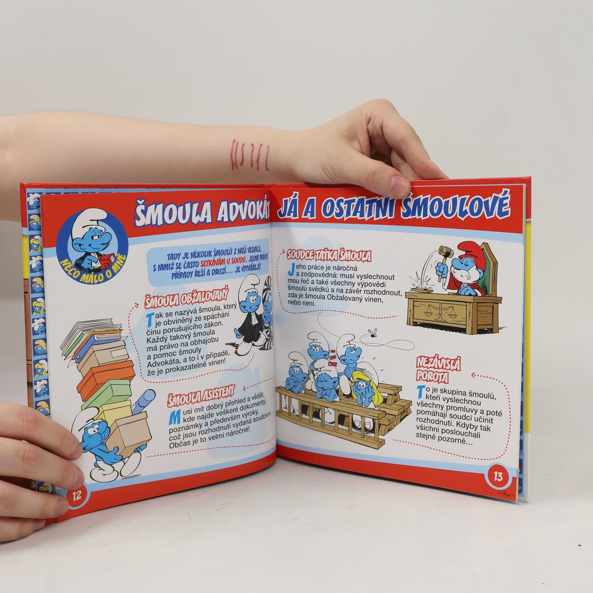Autorenkollektiv Šmoulové. Povolání světa!. 15. Šmoula advokát