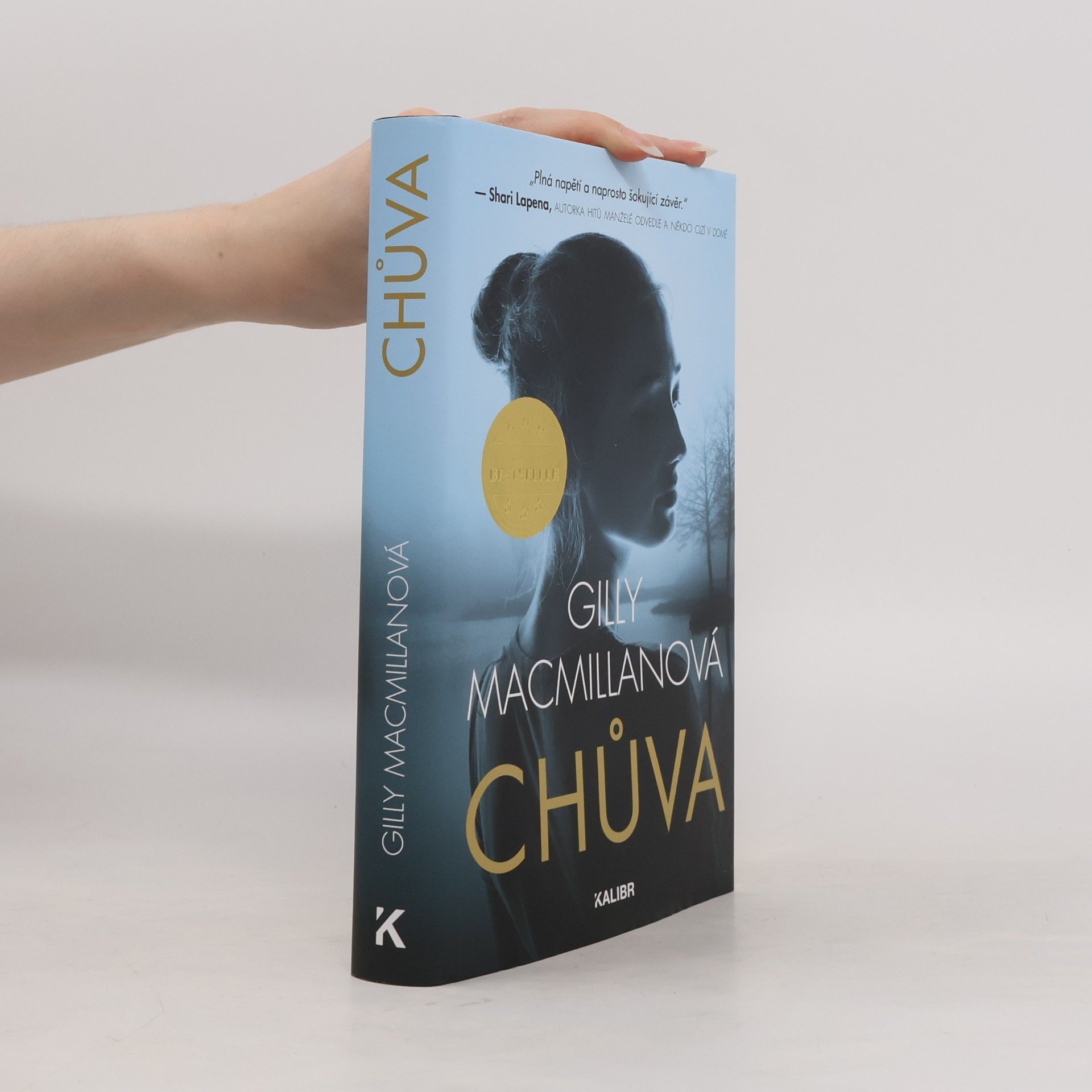 Gilly Macmillan Chůva