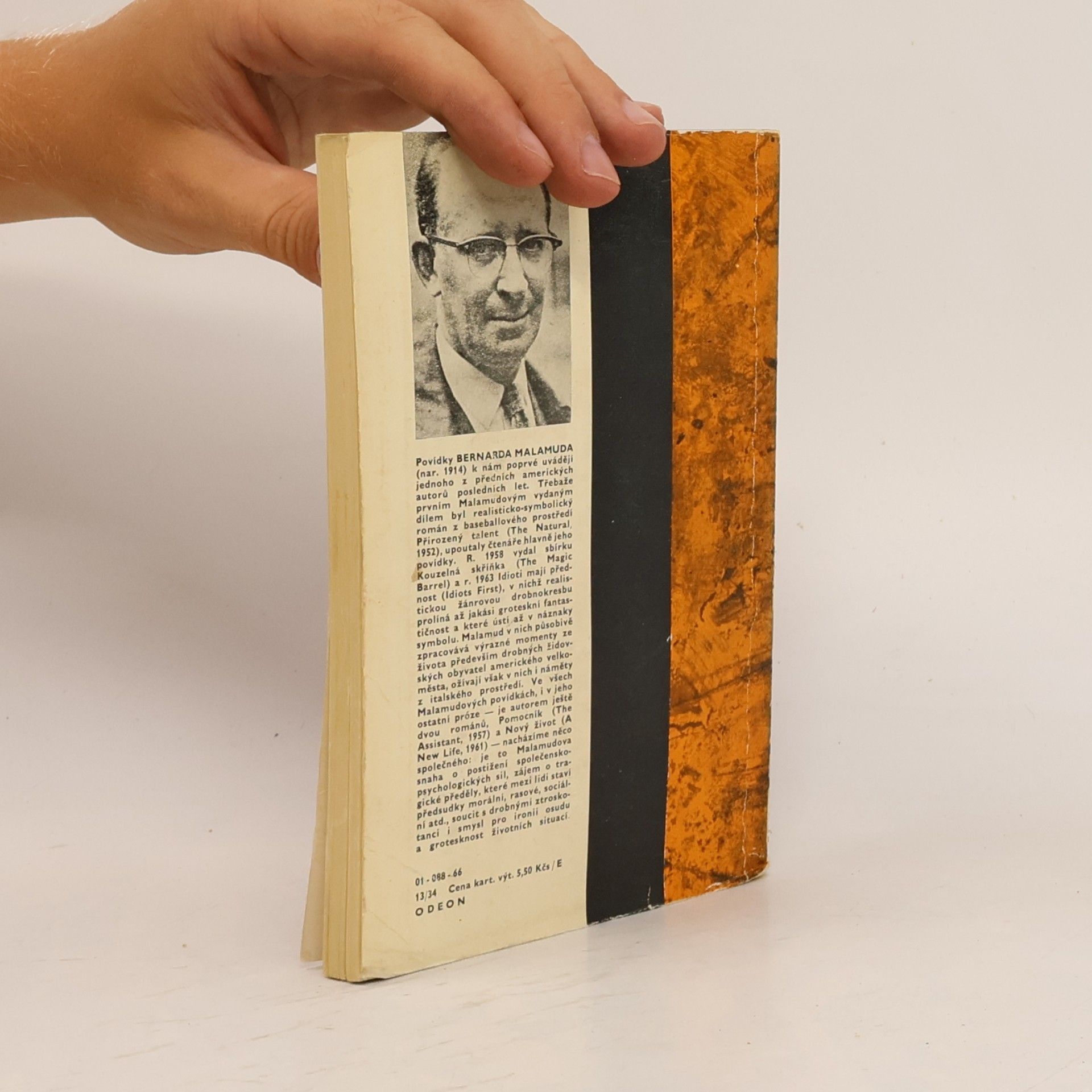 Bernard Malamud Idioti mají přednost