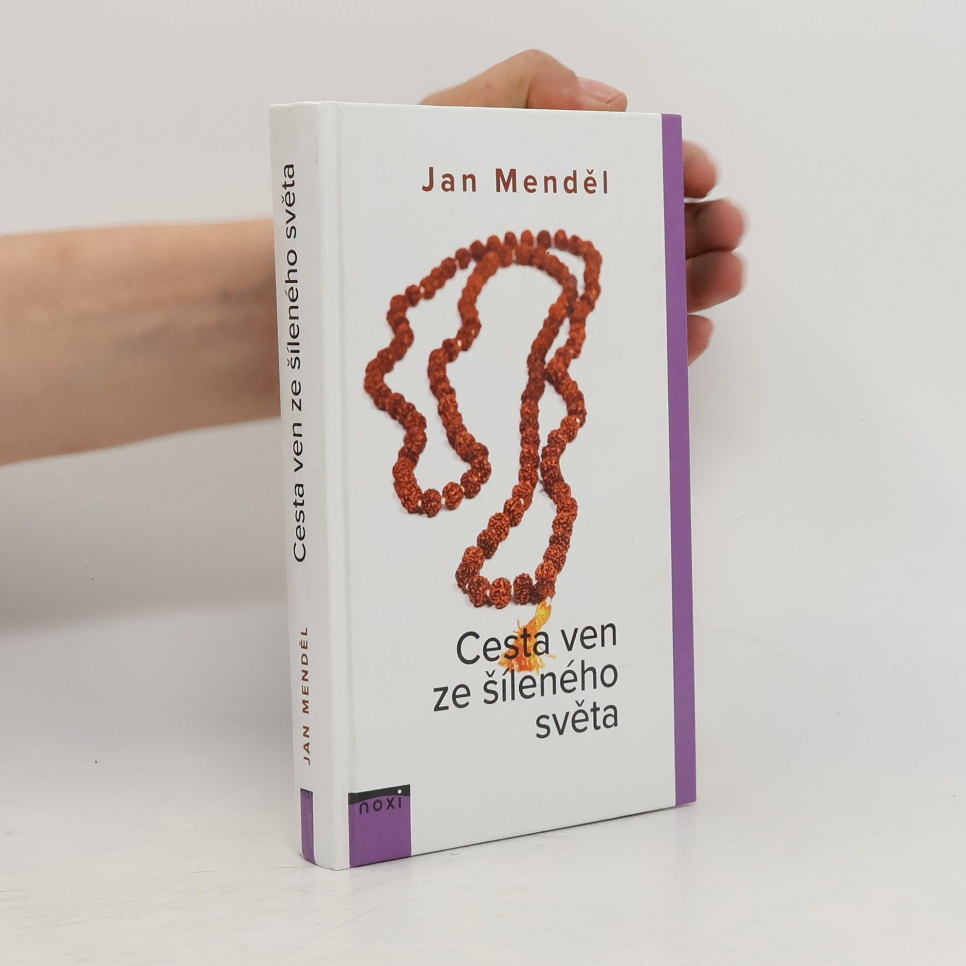 Jan Menděl Cesta ven ze šíleného světa