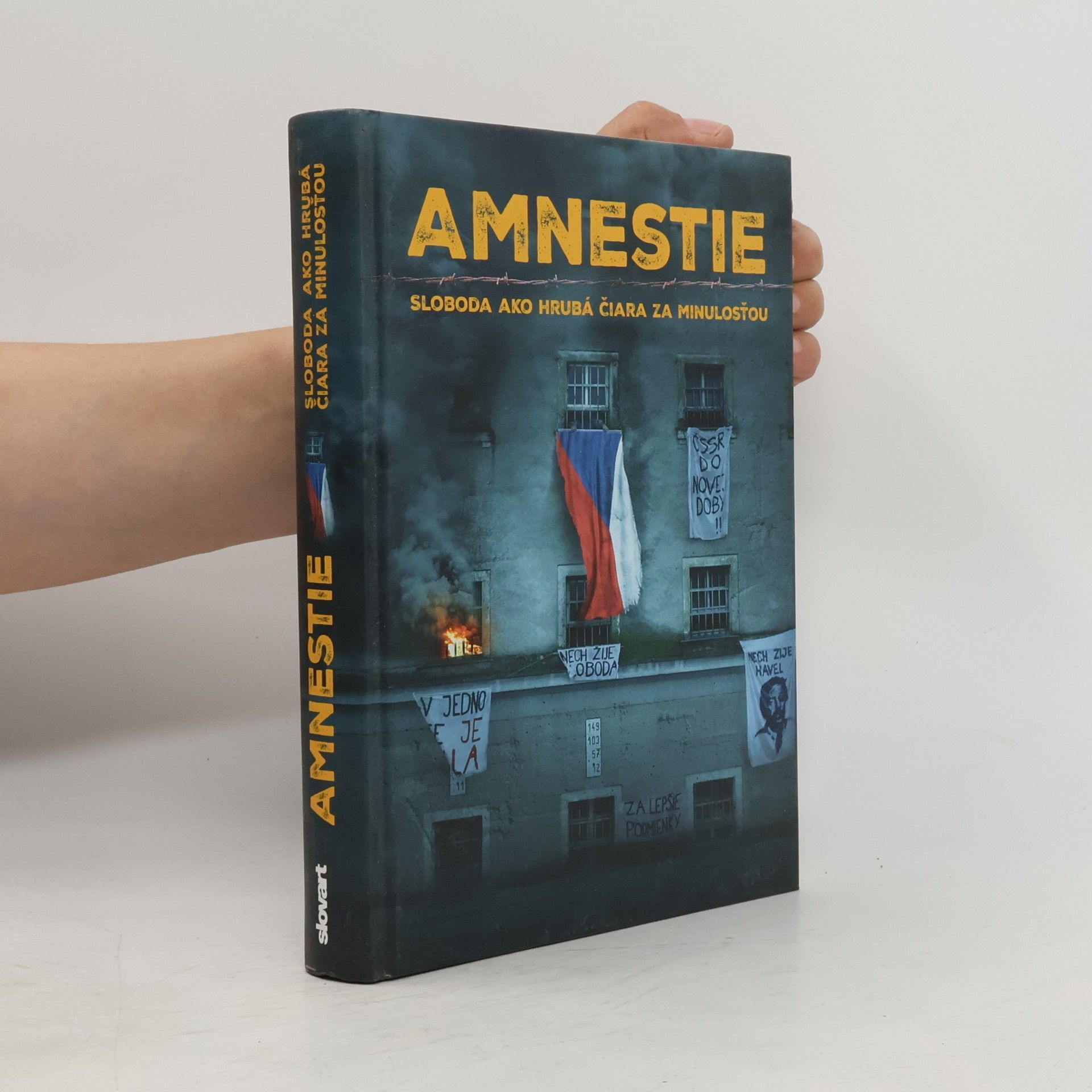 Collectif d'auteurs Amnestie - Sloboda ako hrubá čiara za minulosťou