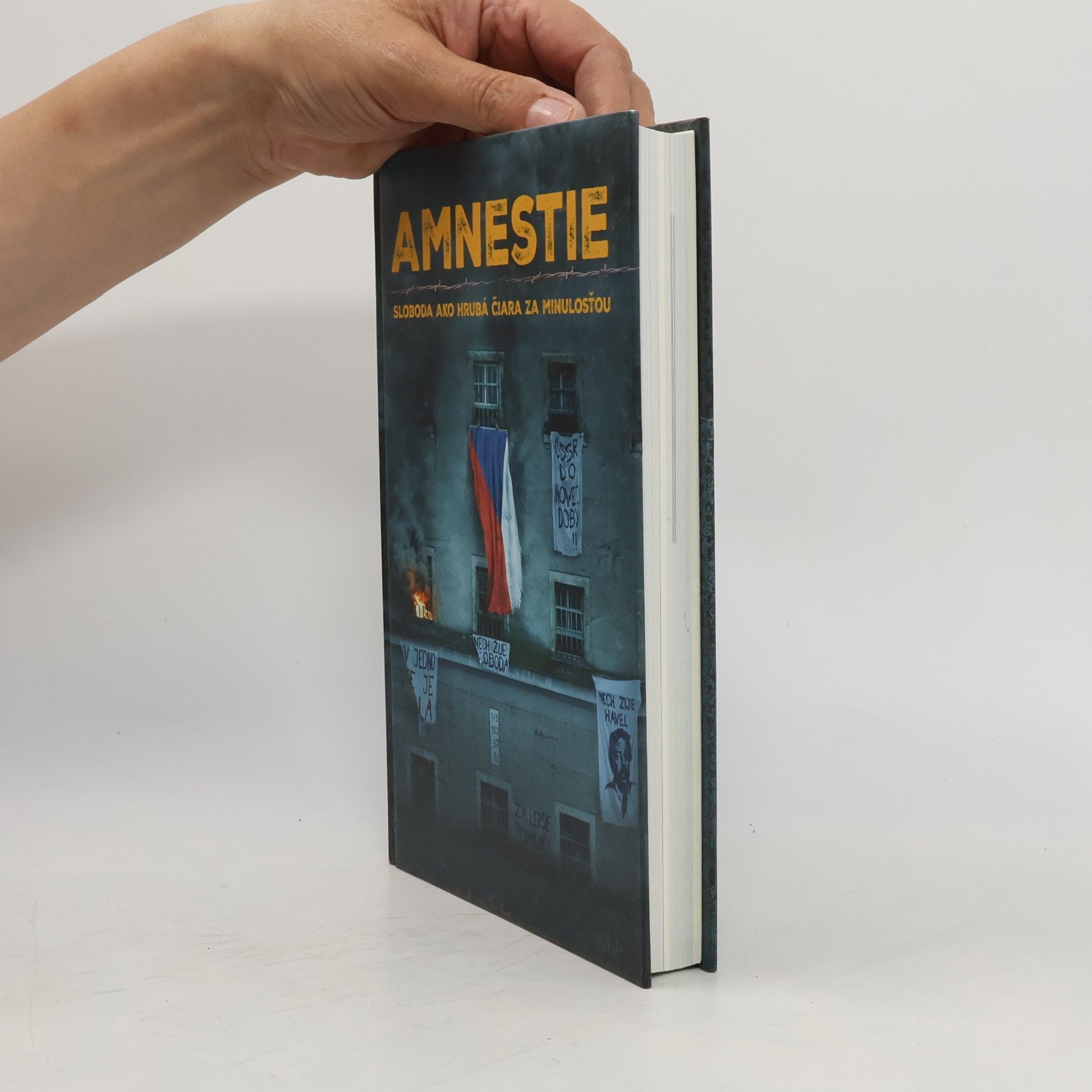 Autorenkollektiv Amnestie - Sloboda ako hrubá čiara za minulosťou