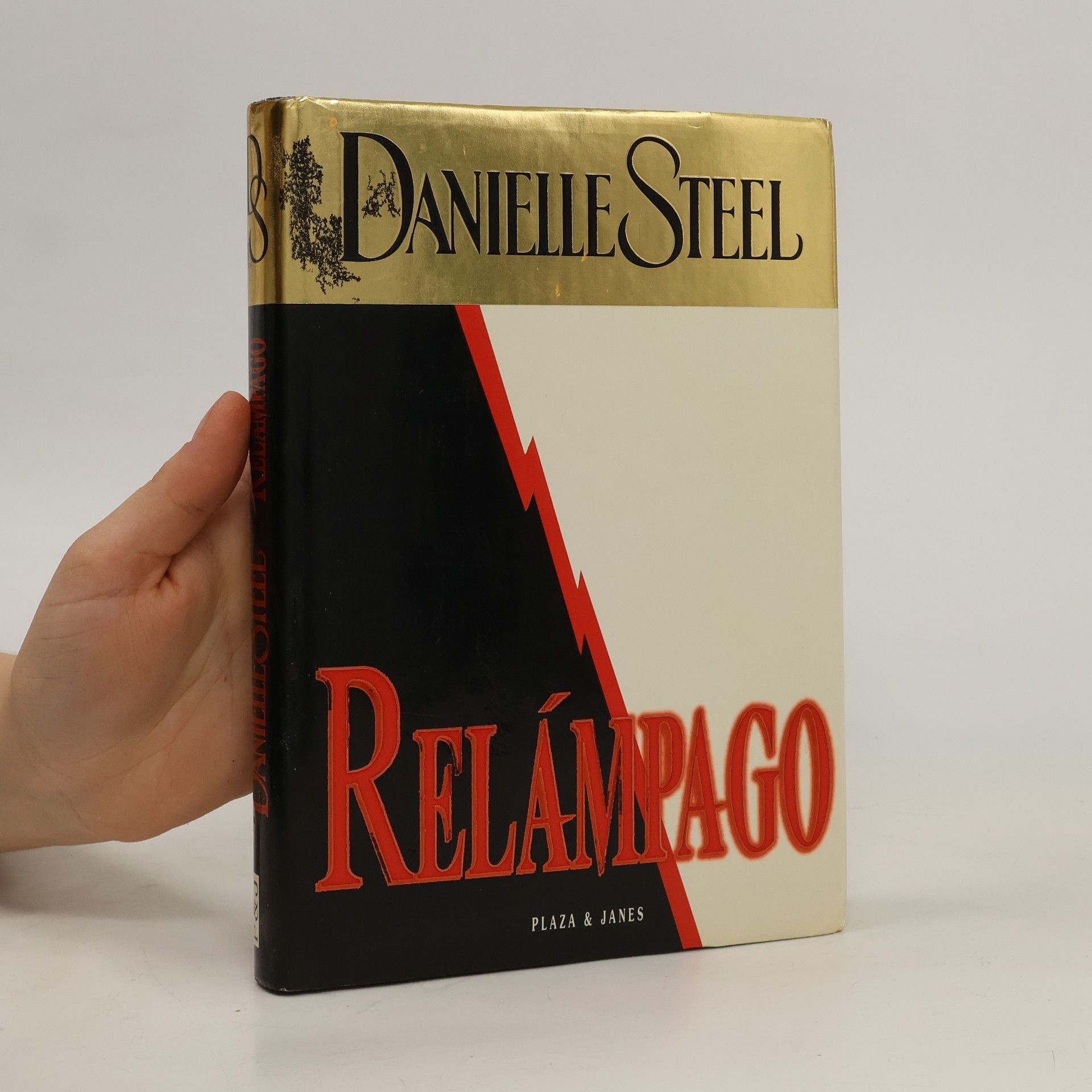 Danielle Steel Relampago