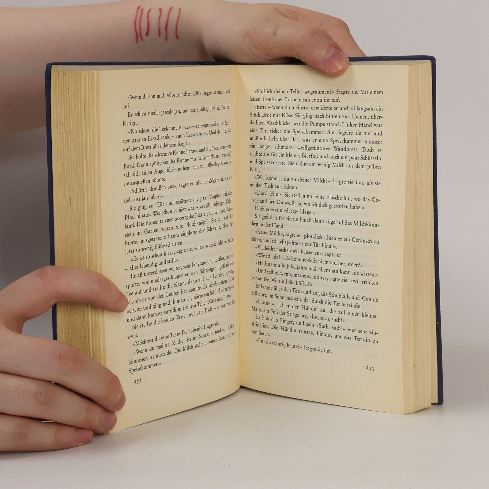 David Herbert Lawrence Lady Chatterley