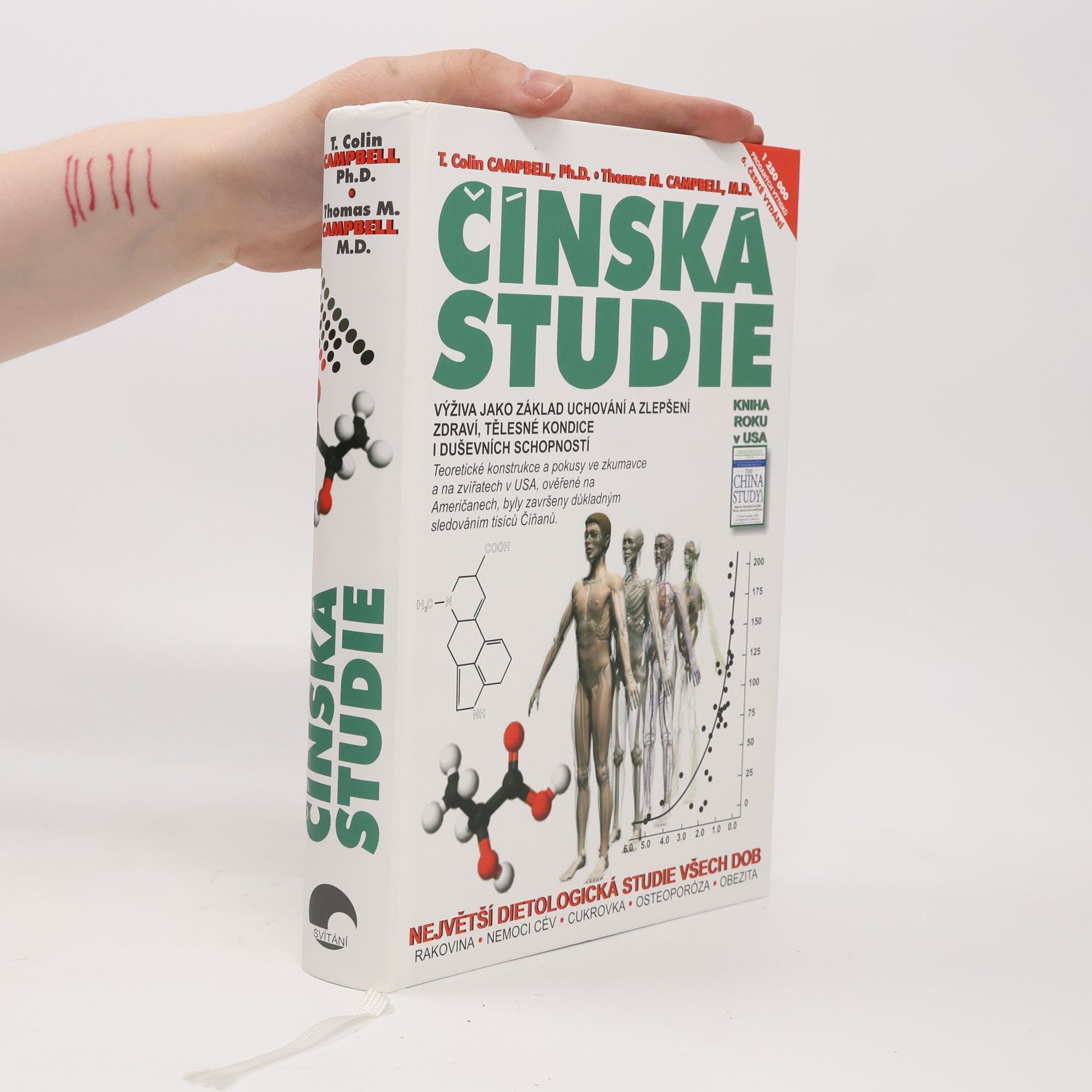Colin Campbell Čínská studie : výživa jako základ uchování a zlepšení zdraví, tělesné kondice i duševních schopností