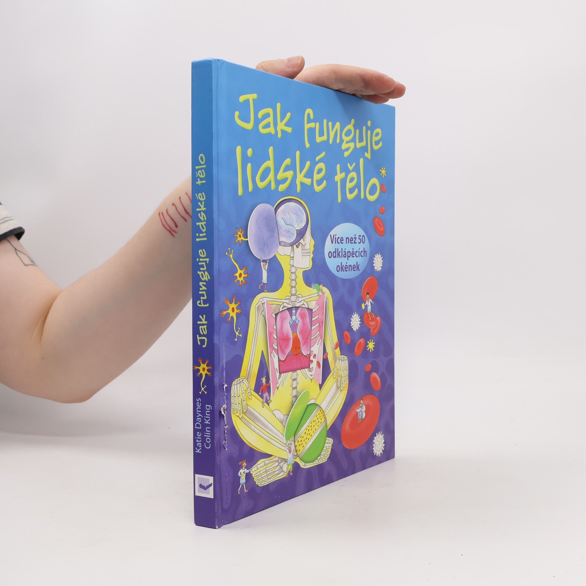 Katie Daynes Jak funguje lidské tělo