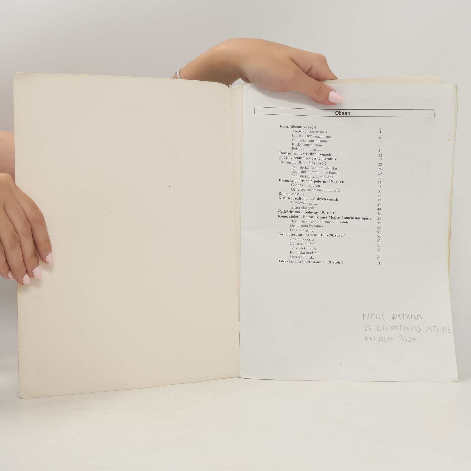 Vladimír Prokop Literatura 19. a počátku 20. století (od romantiků po buřiče)