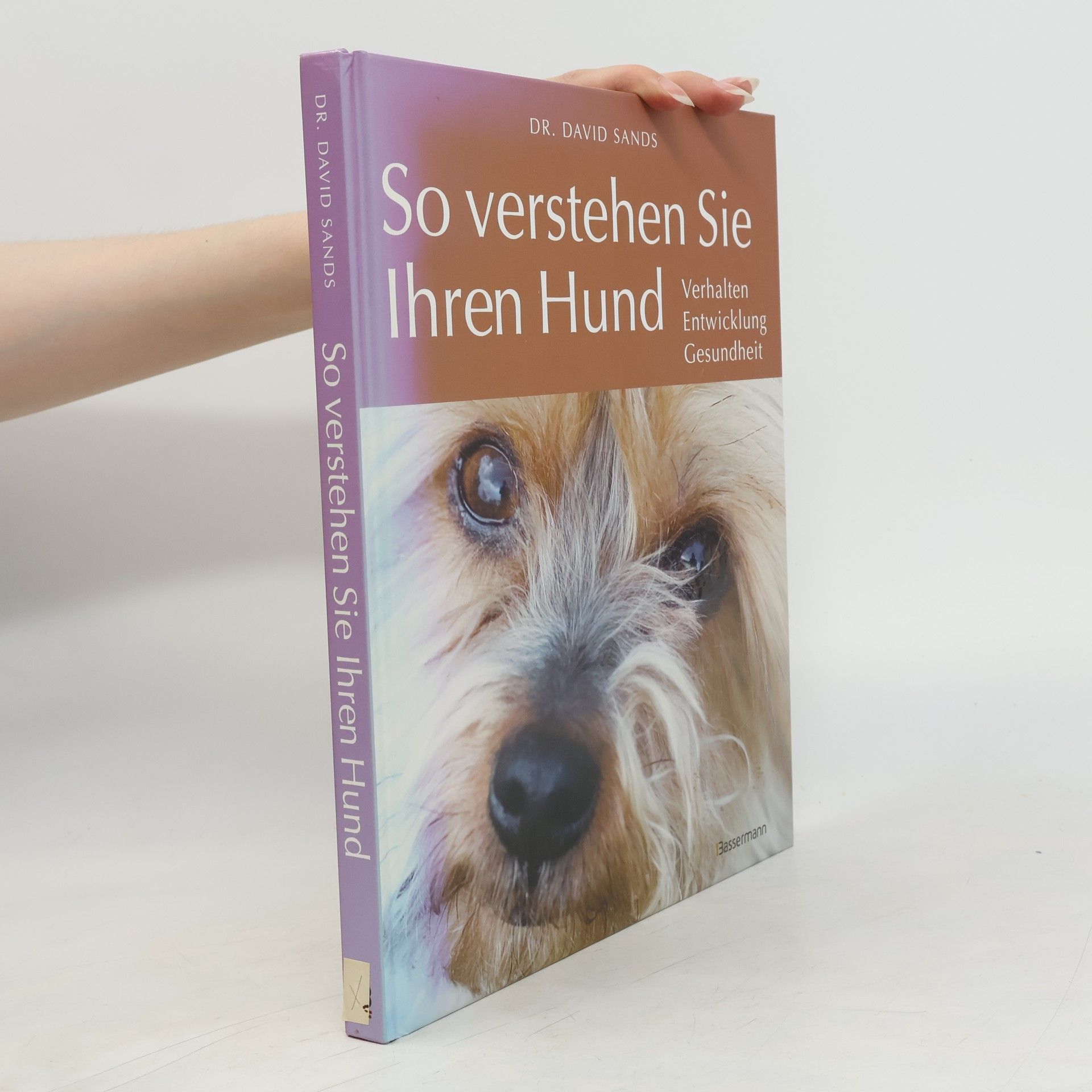 David Sands So verstehen Sie Ihren Hund