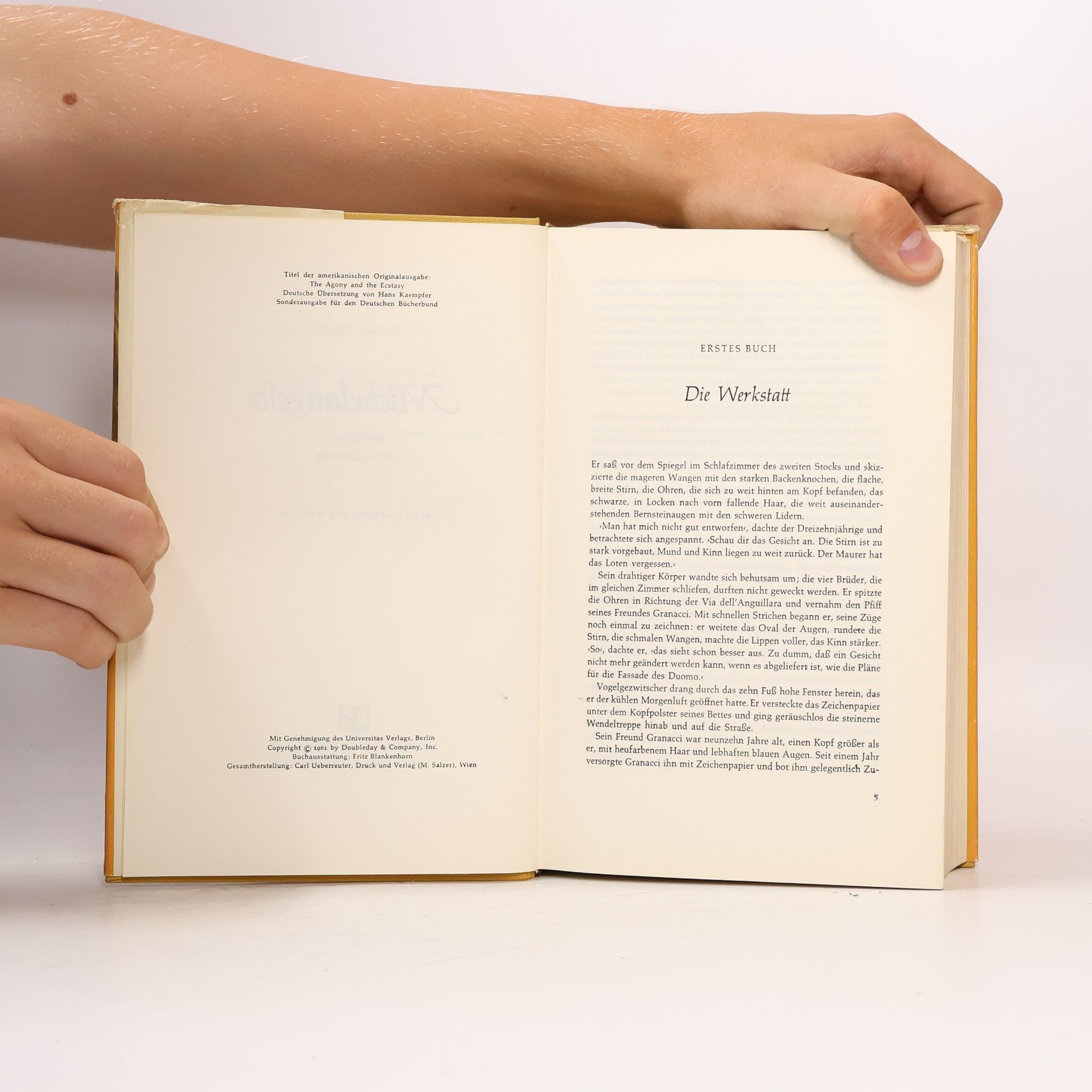 Irving Stone Michelangelo: Inferno und Ekstase