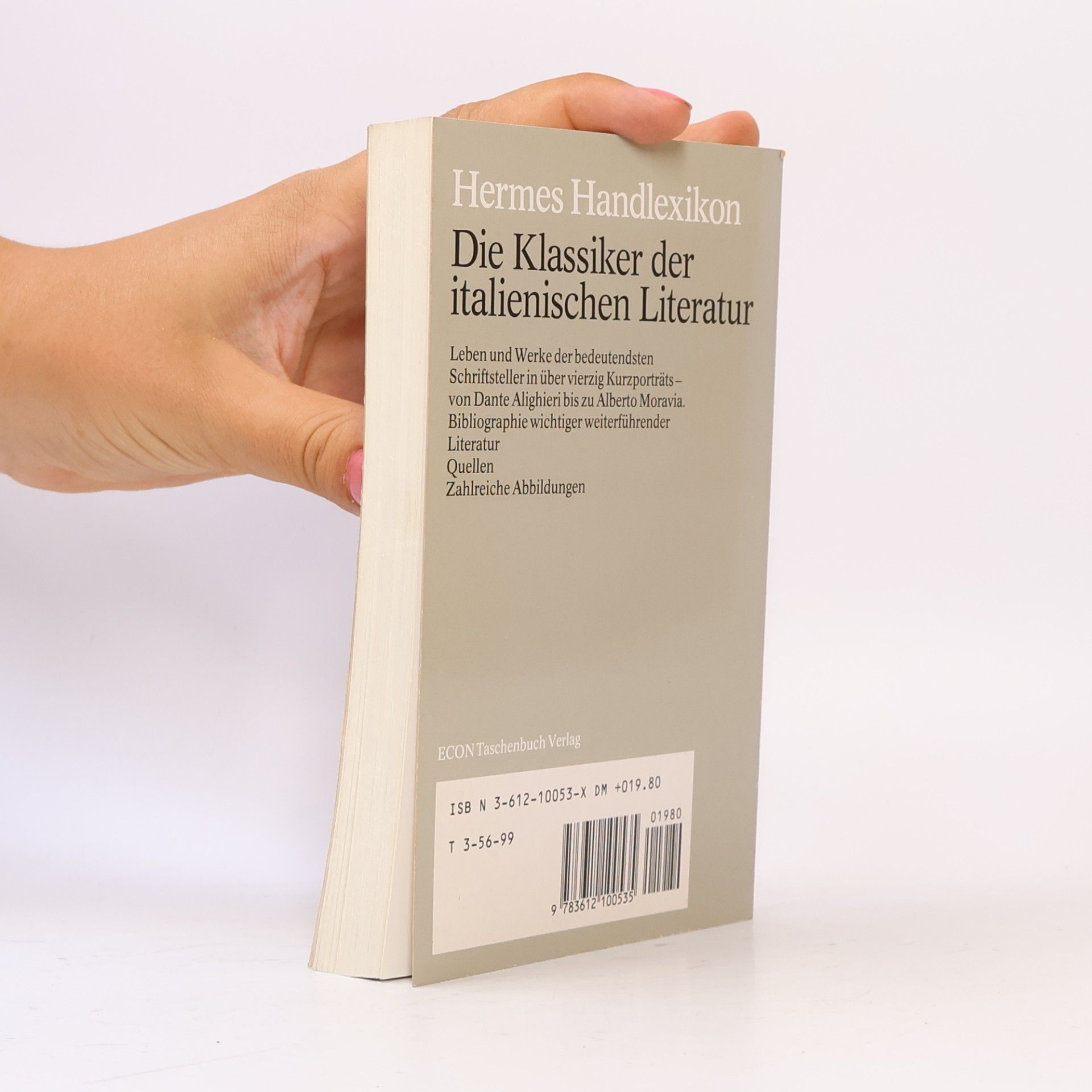 Klaus Stiller Die Klassiker der italienischen Literatur