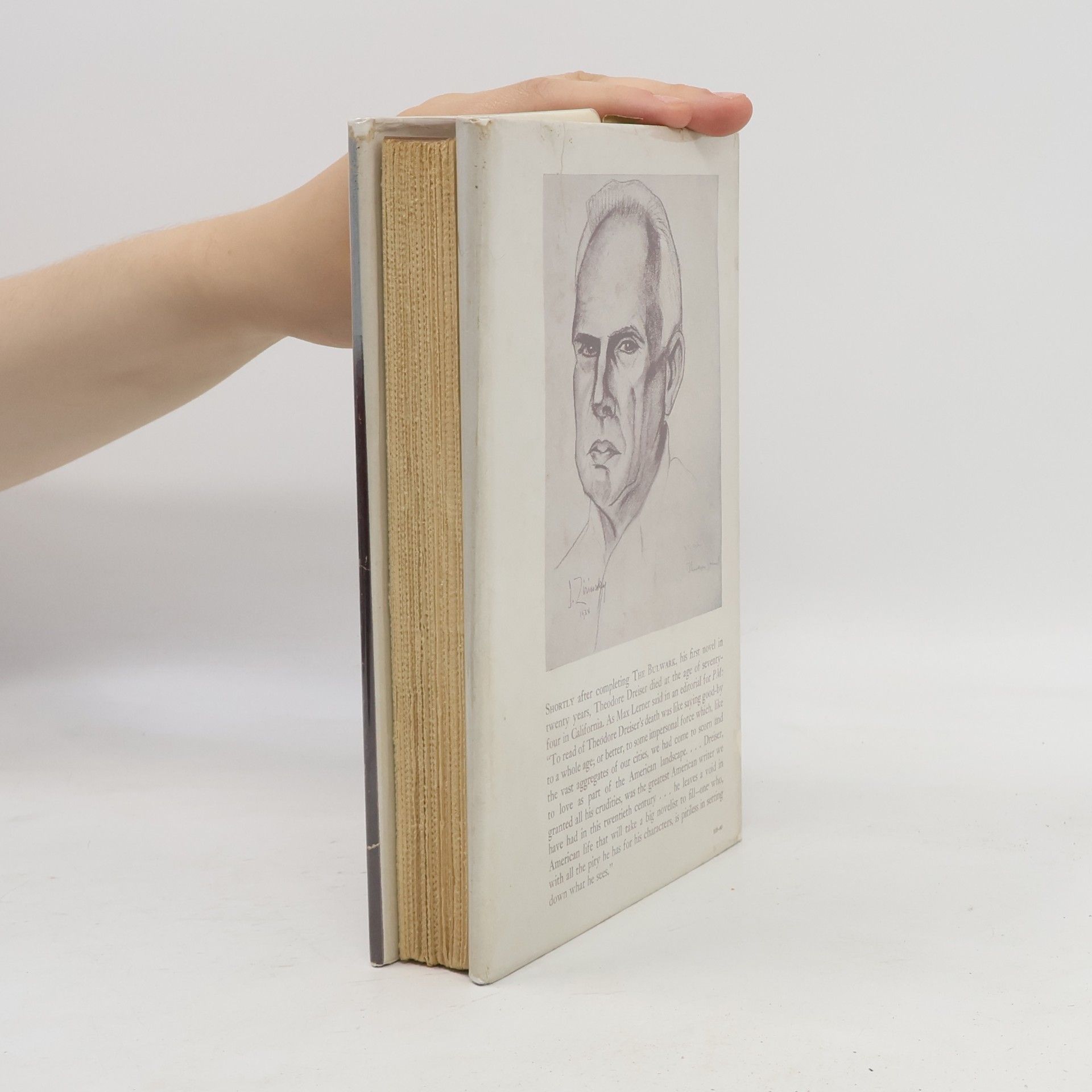 Theodore Dreiser The Bulwark