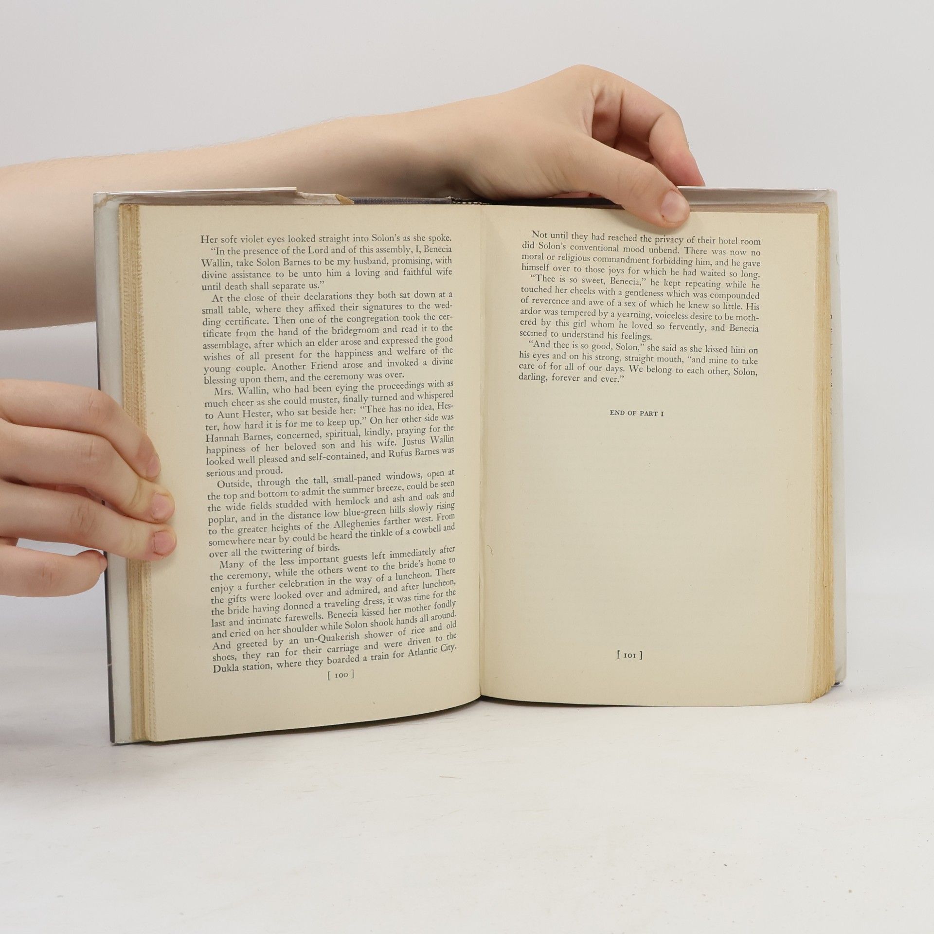 Theodore Dreiser The Bulwark