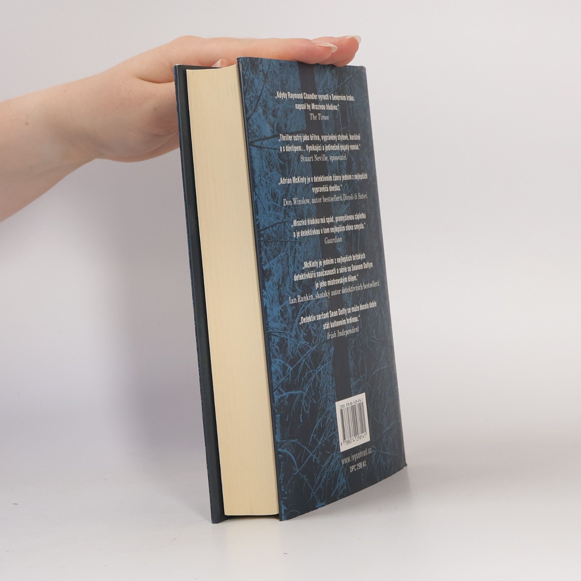 Adrian McKinty Mrazivá hlubina