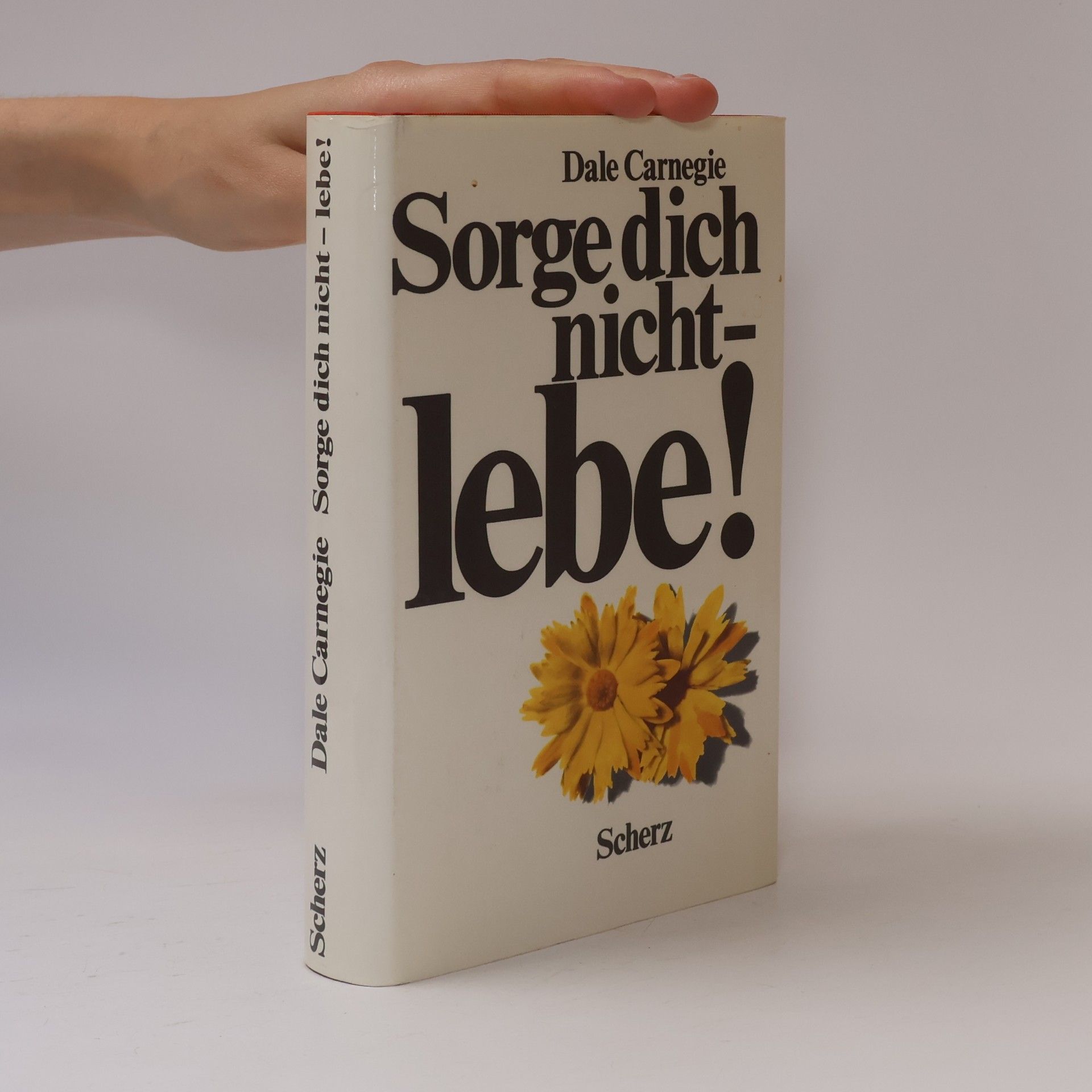Dale Carnegie Sorge dich nicht - lebe!