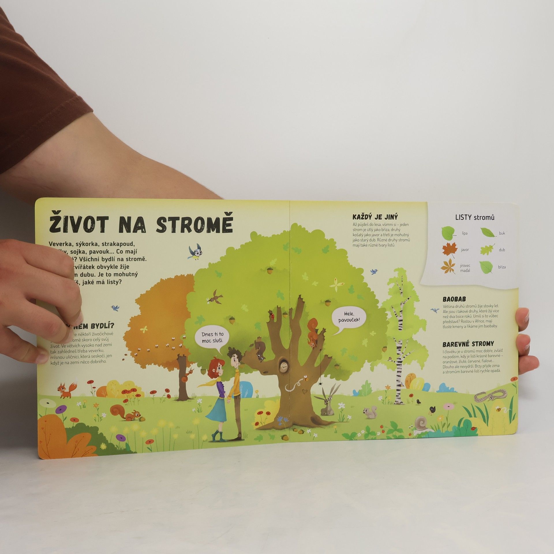 Petra Bartíková Co se děje na stromě
