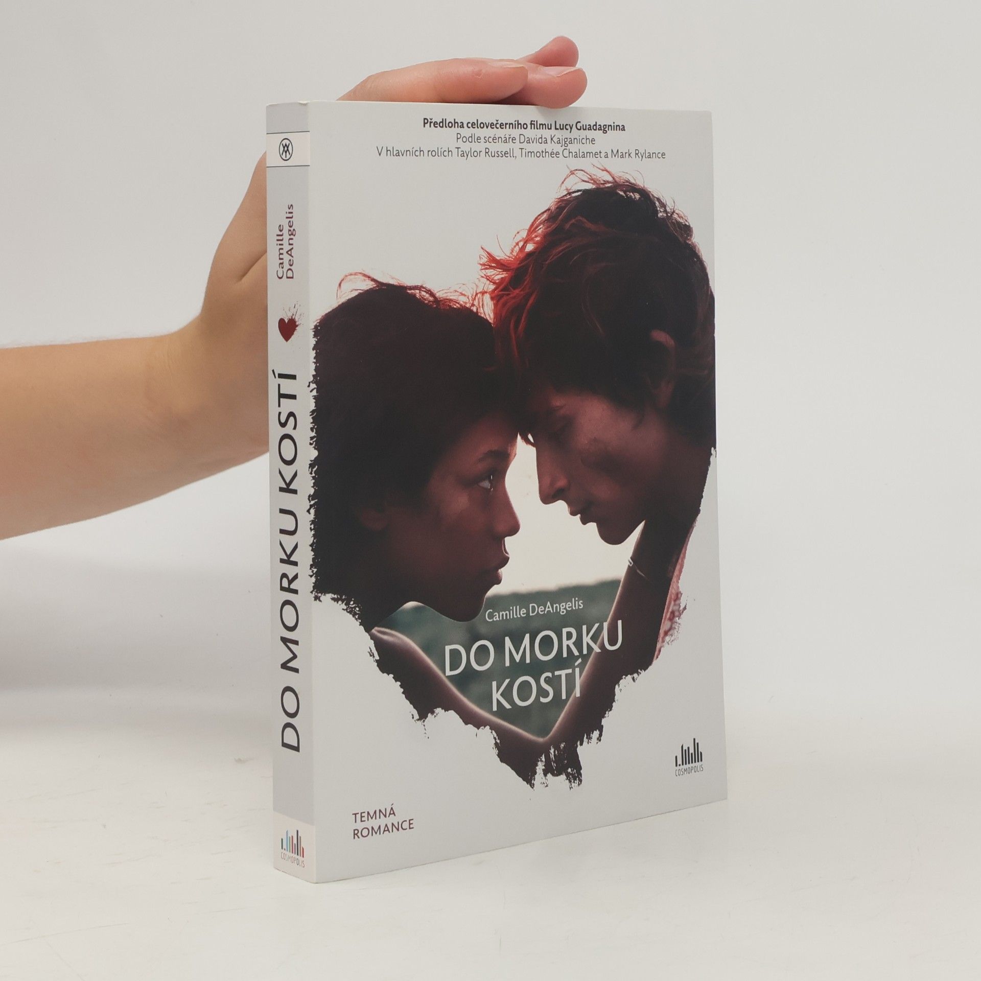Camille DeAngelis Do morku kostí