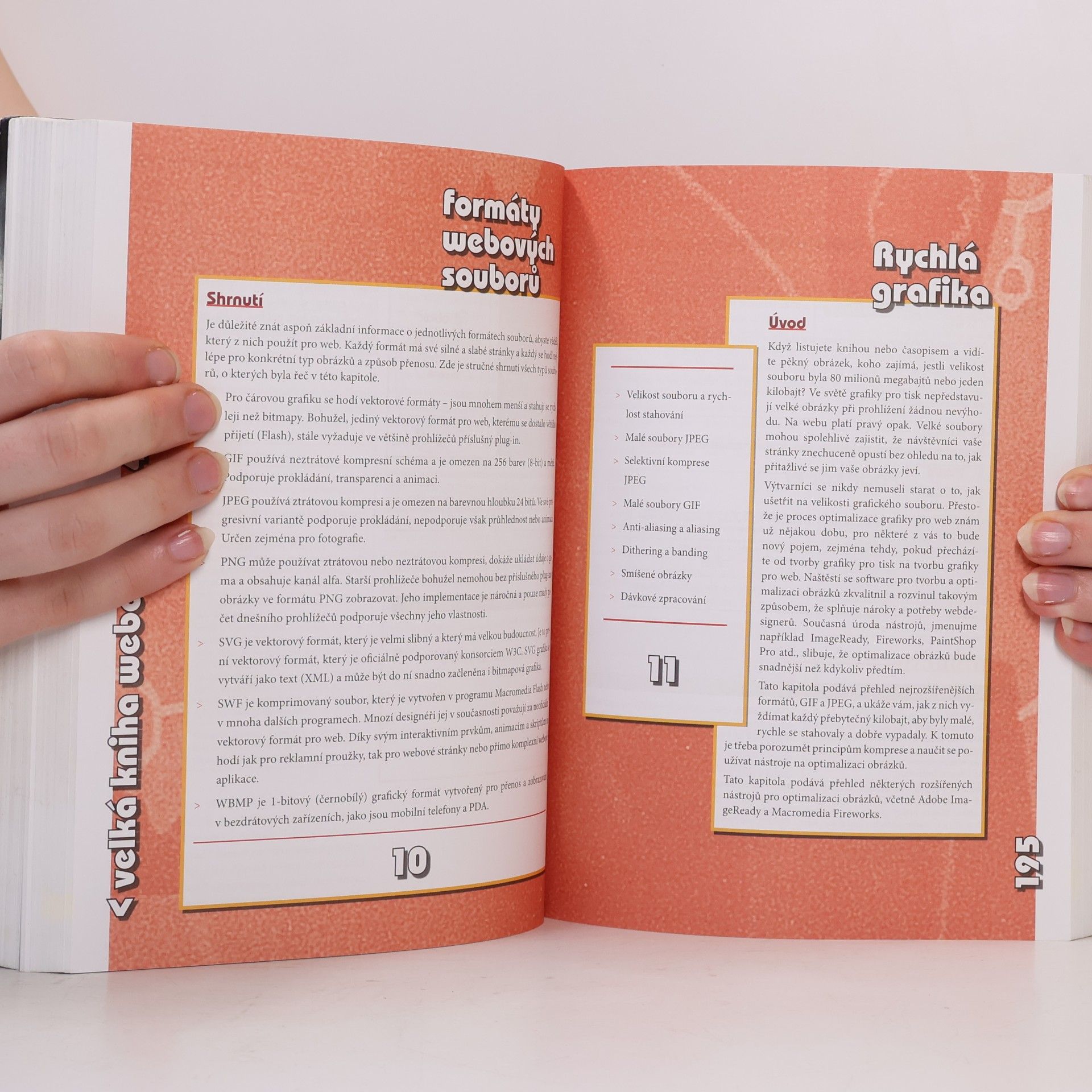 Lynda Weinman Velká kniha webdesignu 4