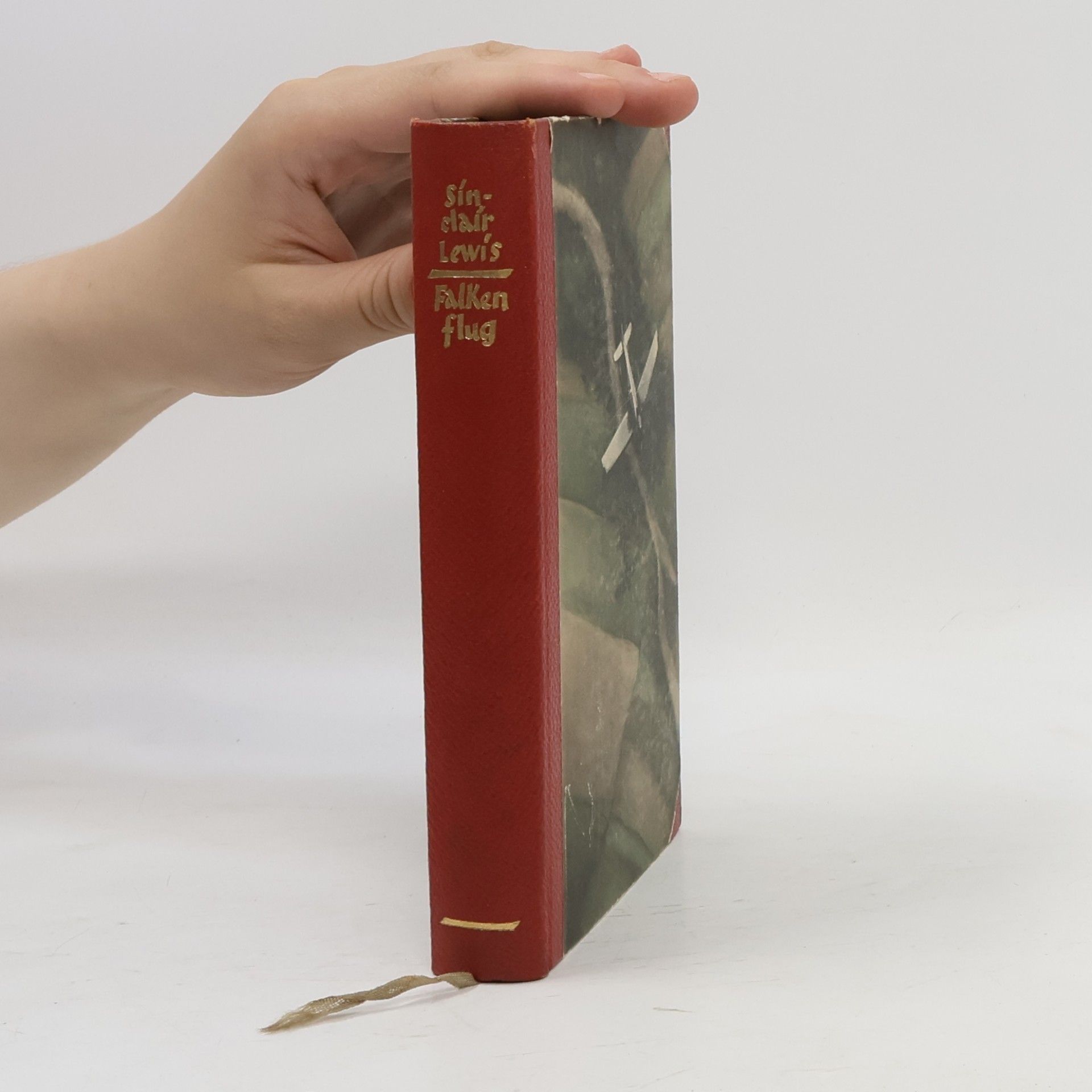 Sinclair Lewis Falkenflug