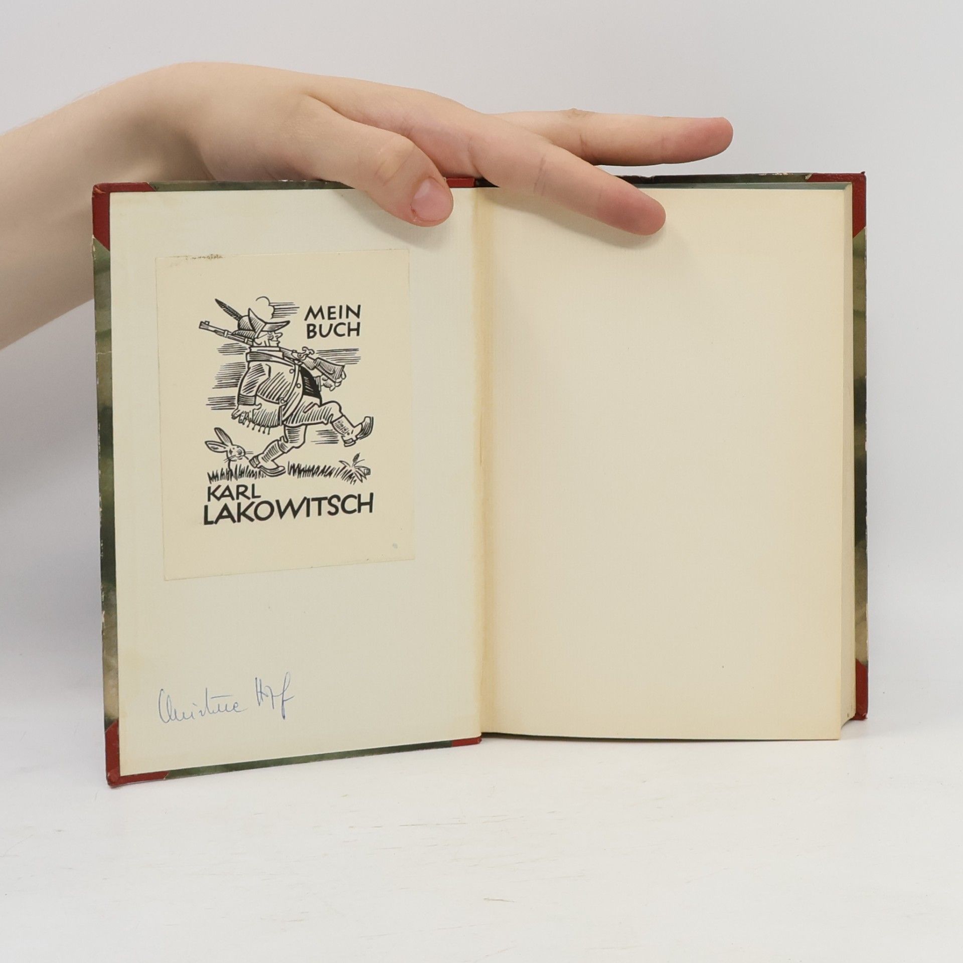 Sinclair Lewis Falkenflug