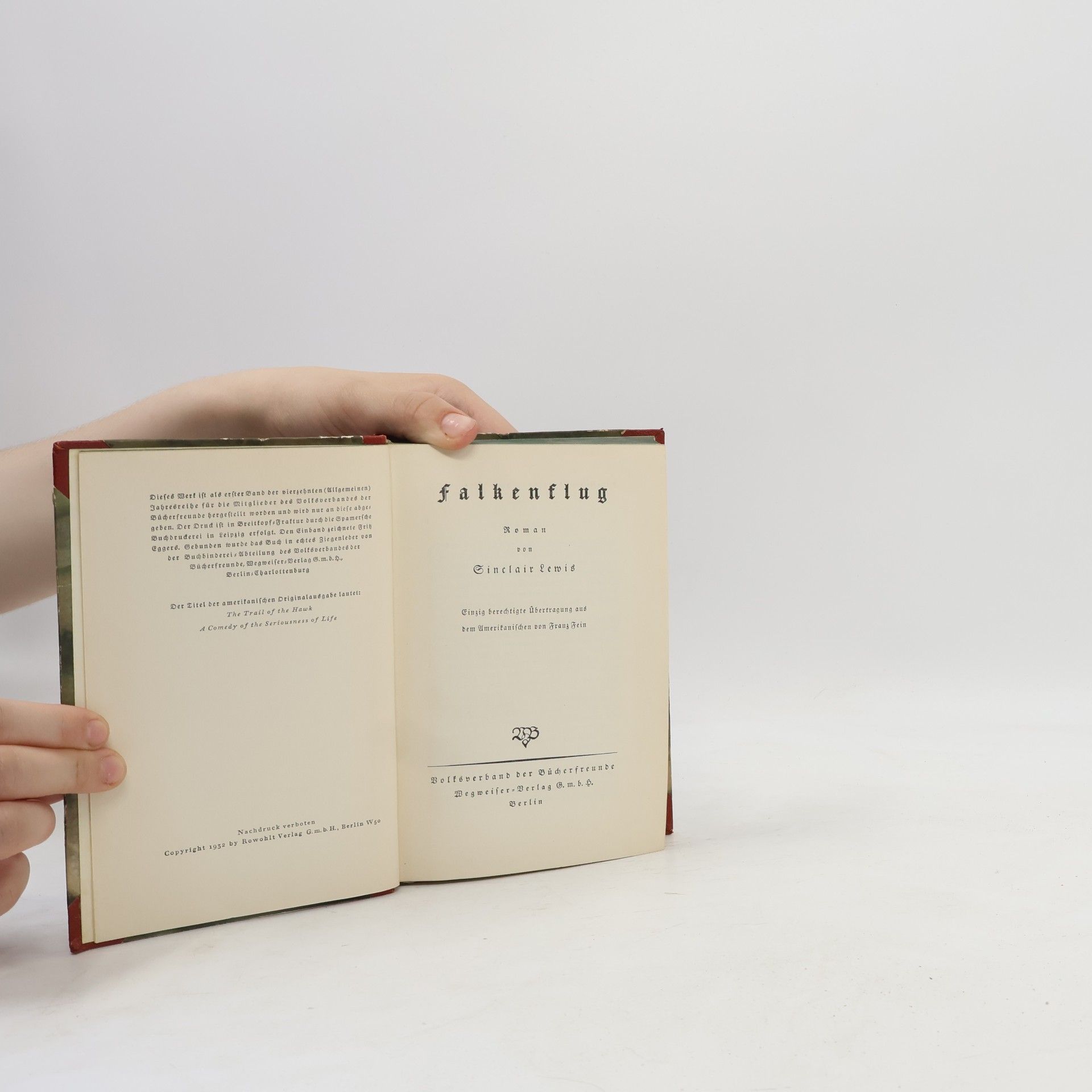 Sinclair Lewis Falkenflug